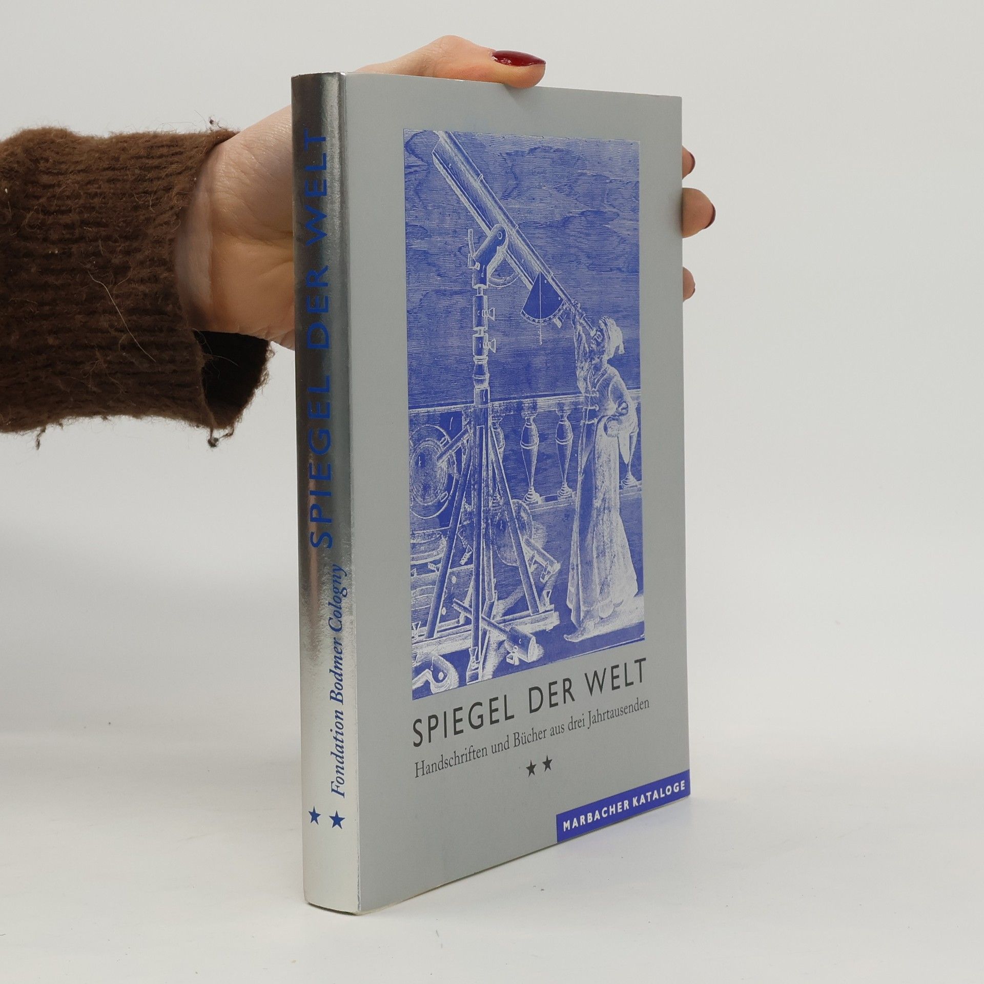 Collectif d'auteurs Spiegel der Welt