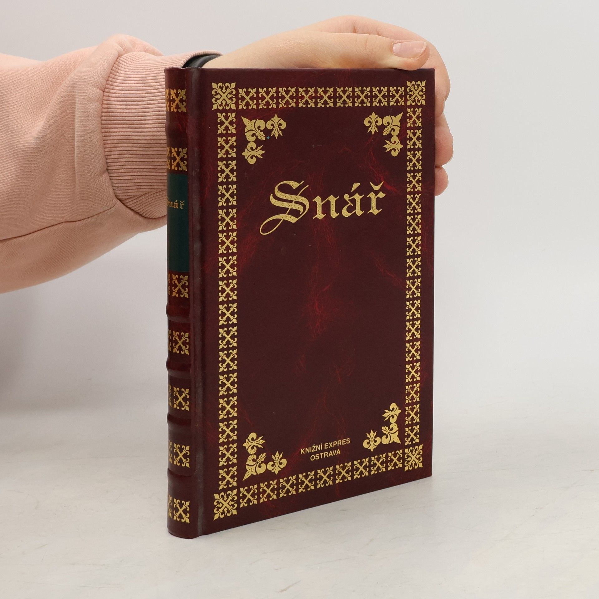 Helena Lesňáková Snář