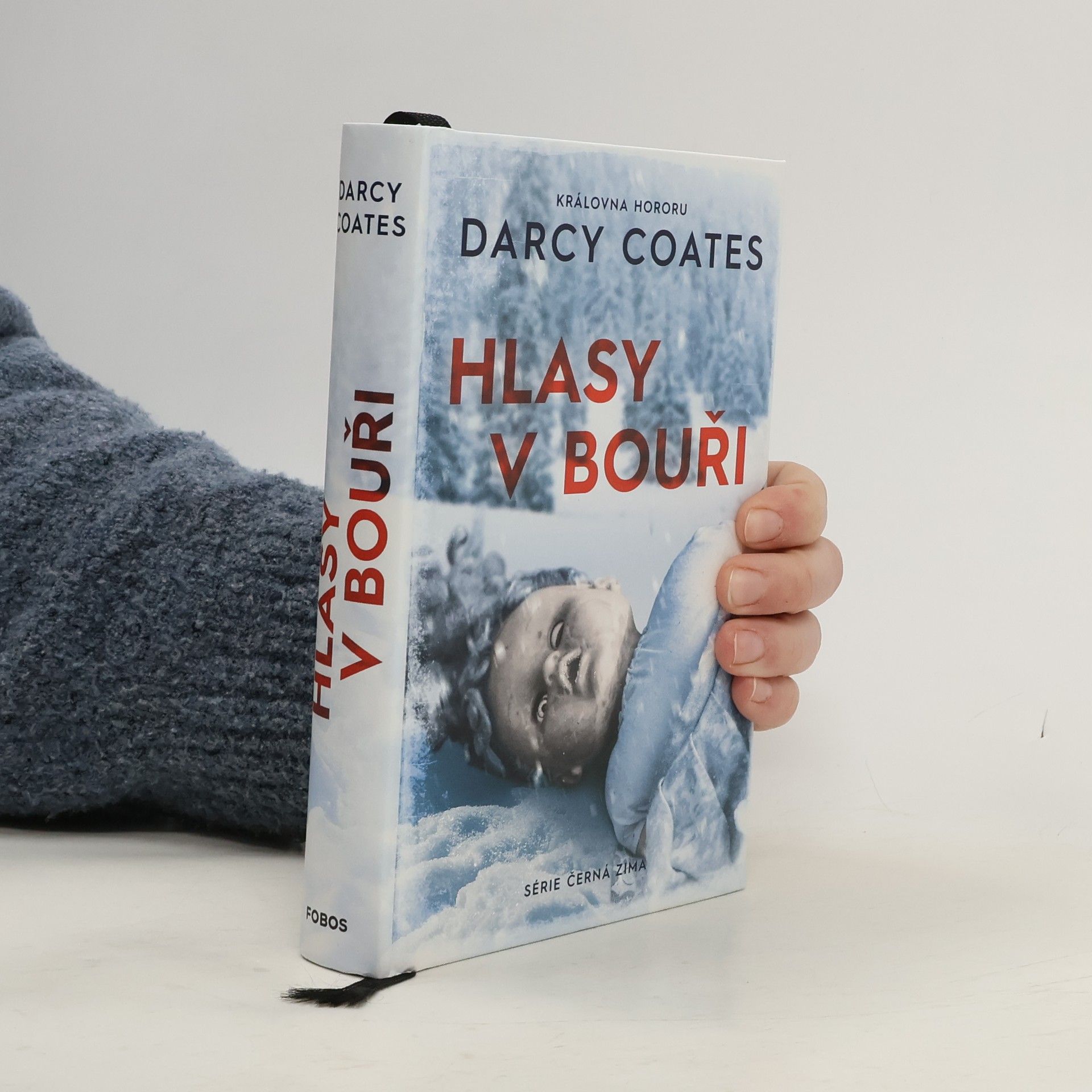 Darcy Coates Hlasy v bouři
