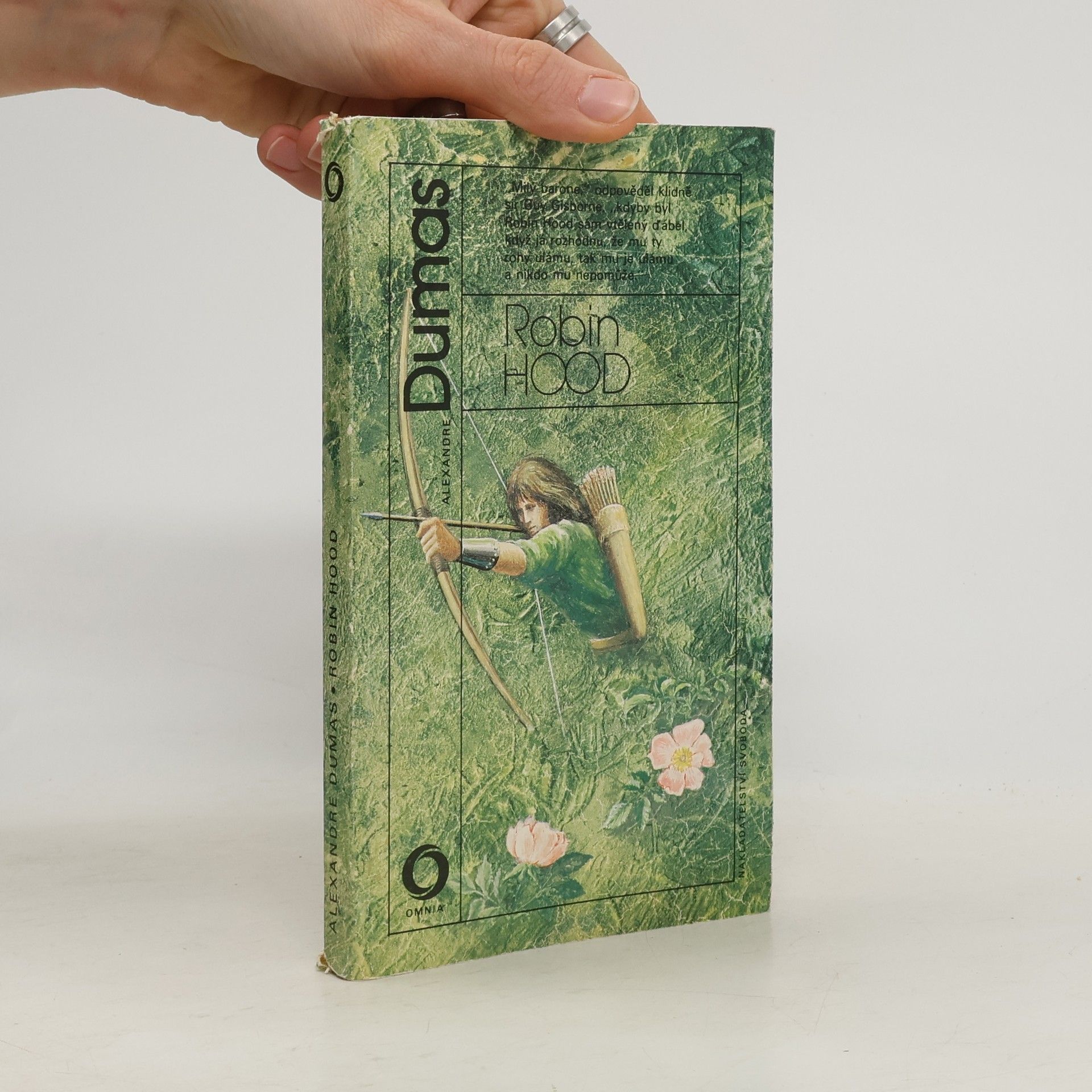 Alexandre Dumas starší Robin Hood