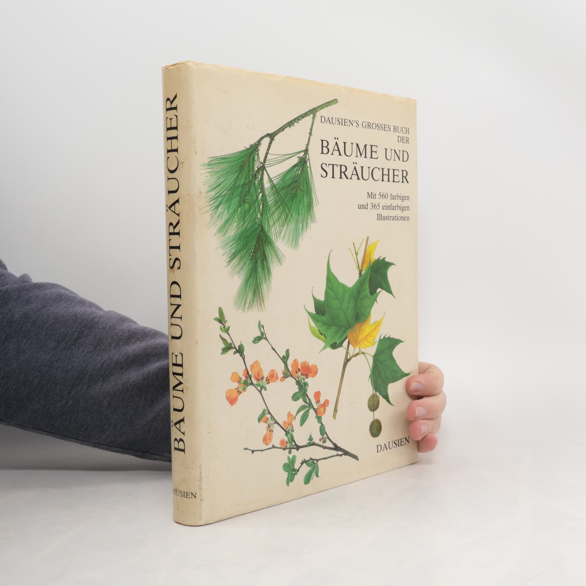 Dausien's grosses Buch der Bäume und Sträucher