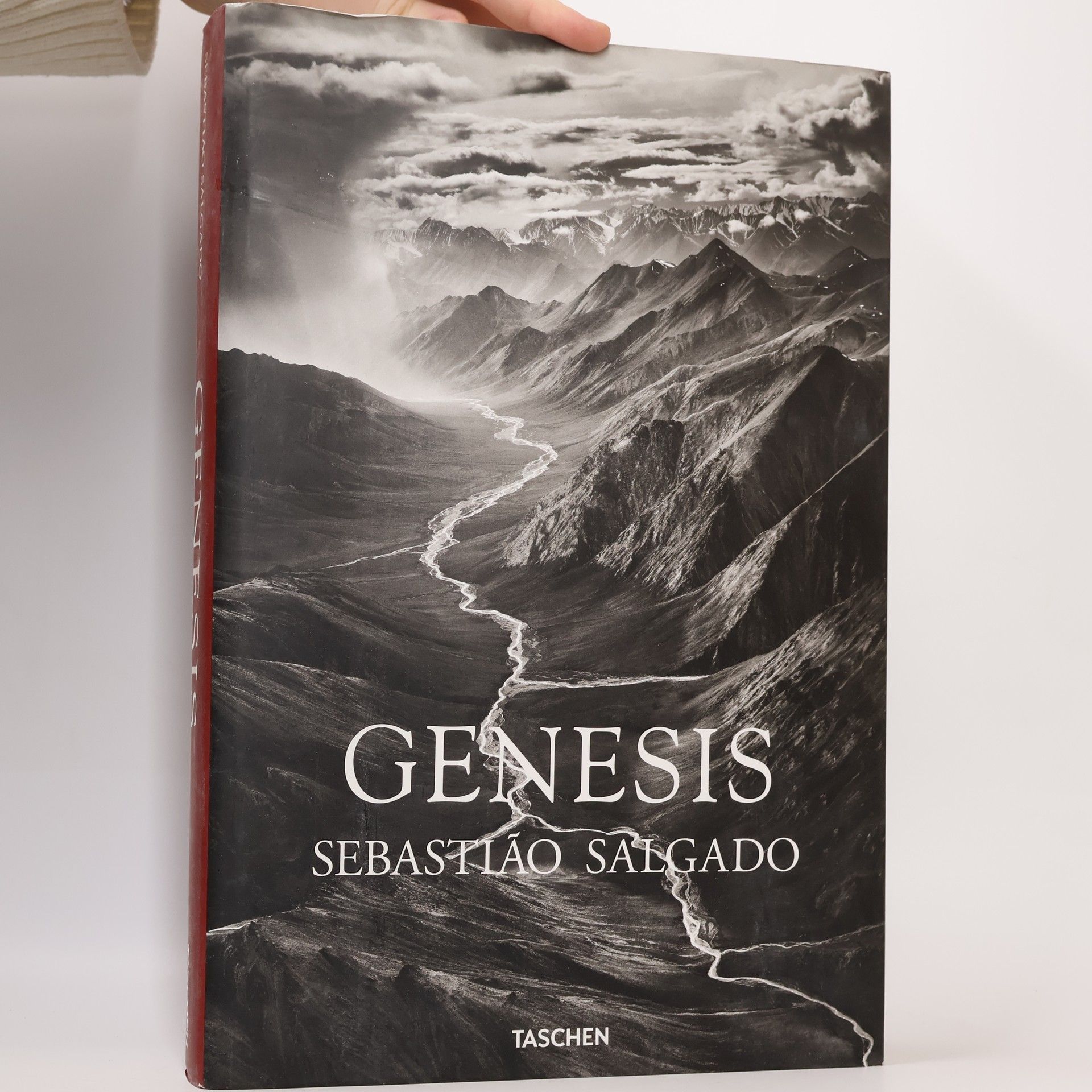 Sebastião Salgado Genesis