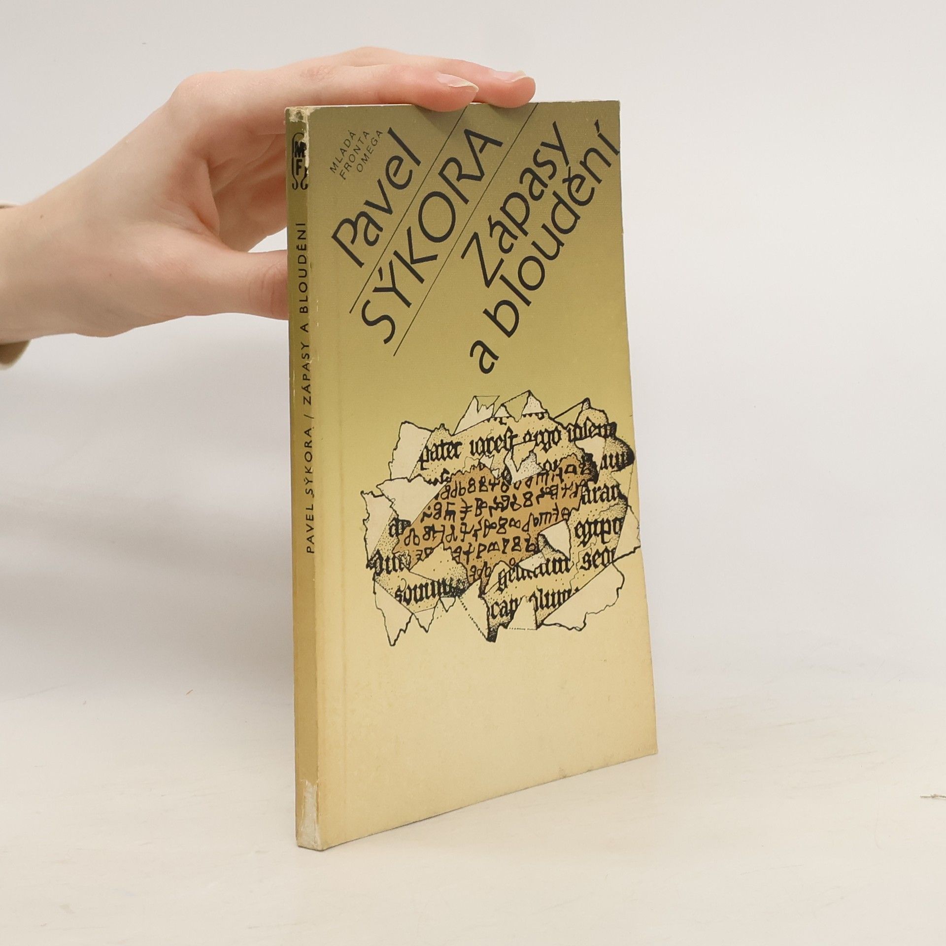 Pavel Sýkora Zápasy a bloudění