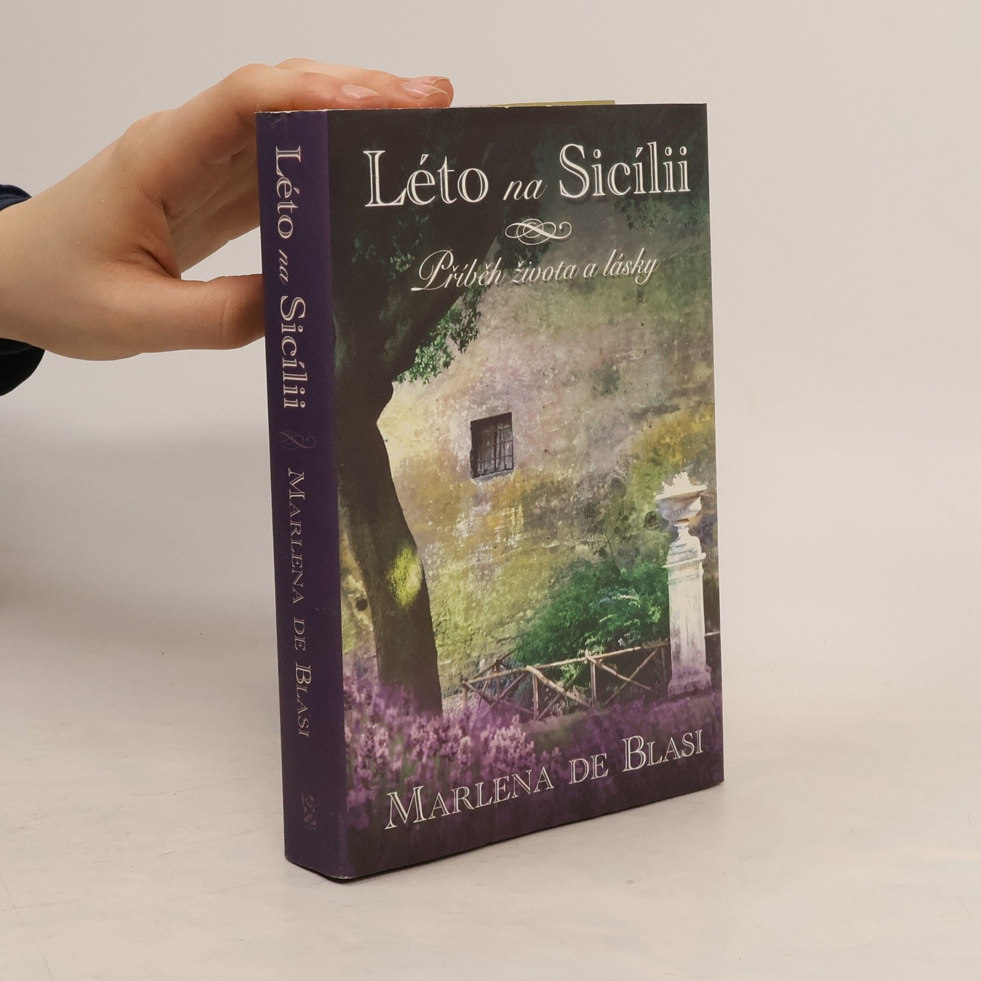 Léto na Sicílii. Příběh života a lásky