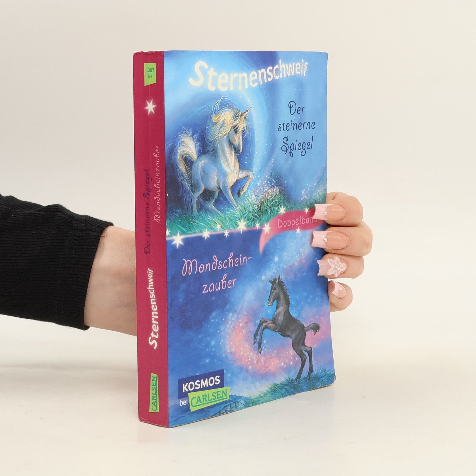 Linda Chapman Sternenschweif - der steinerne Spiegel