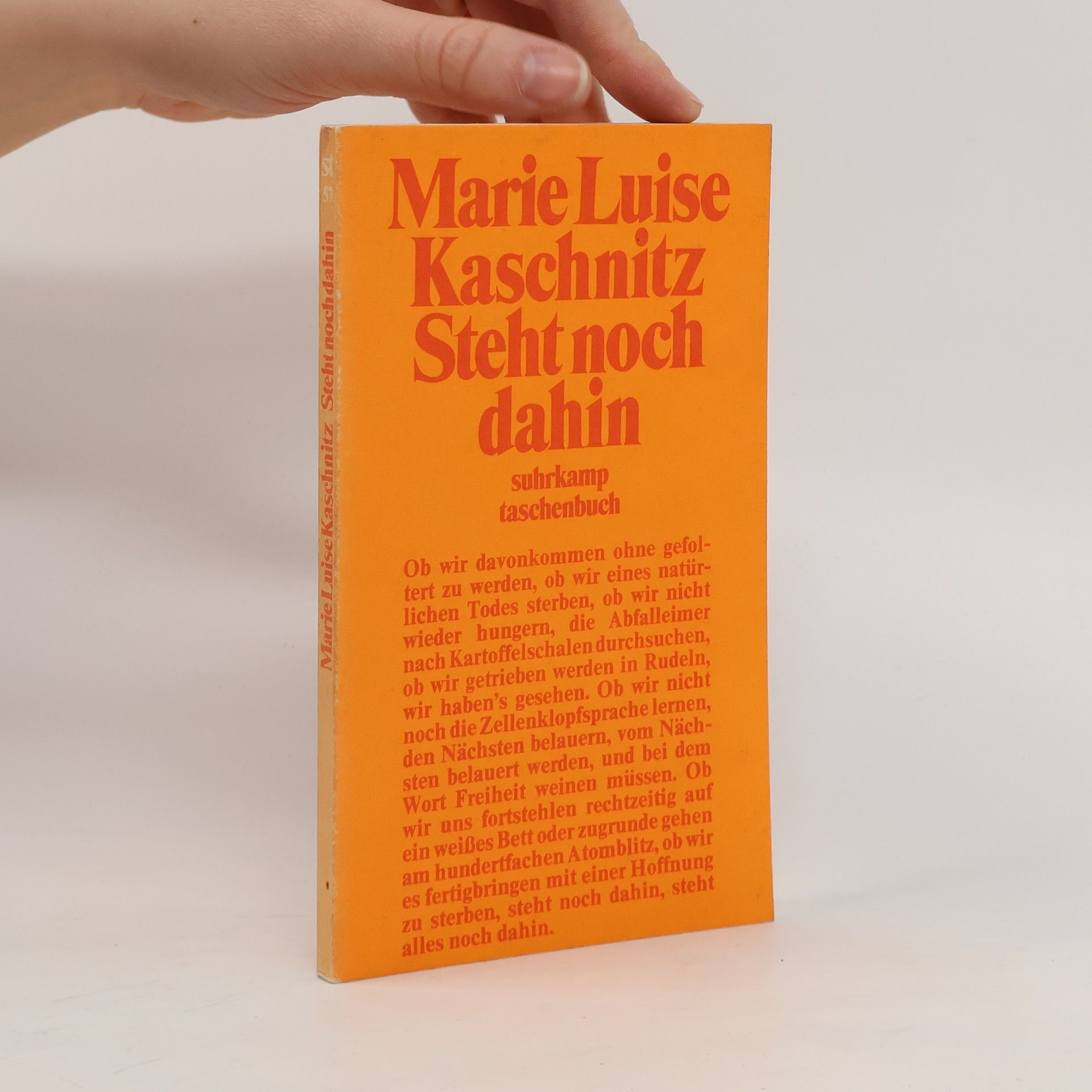 Marie Luise Kaschnitz Steht noch dahin