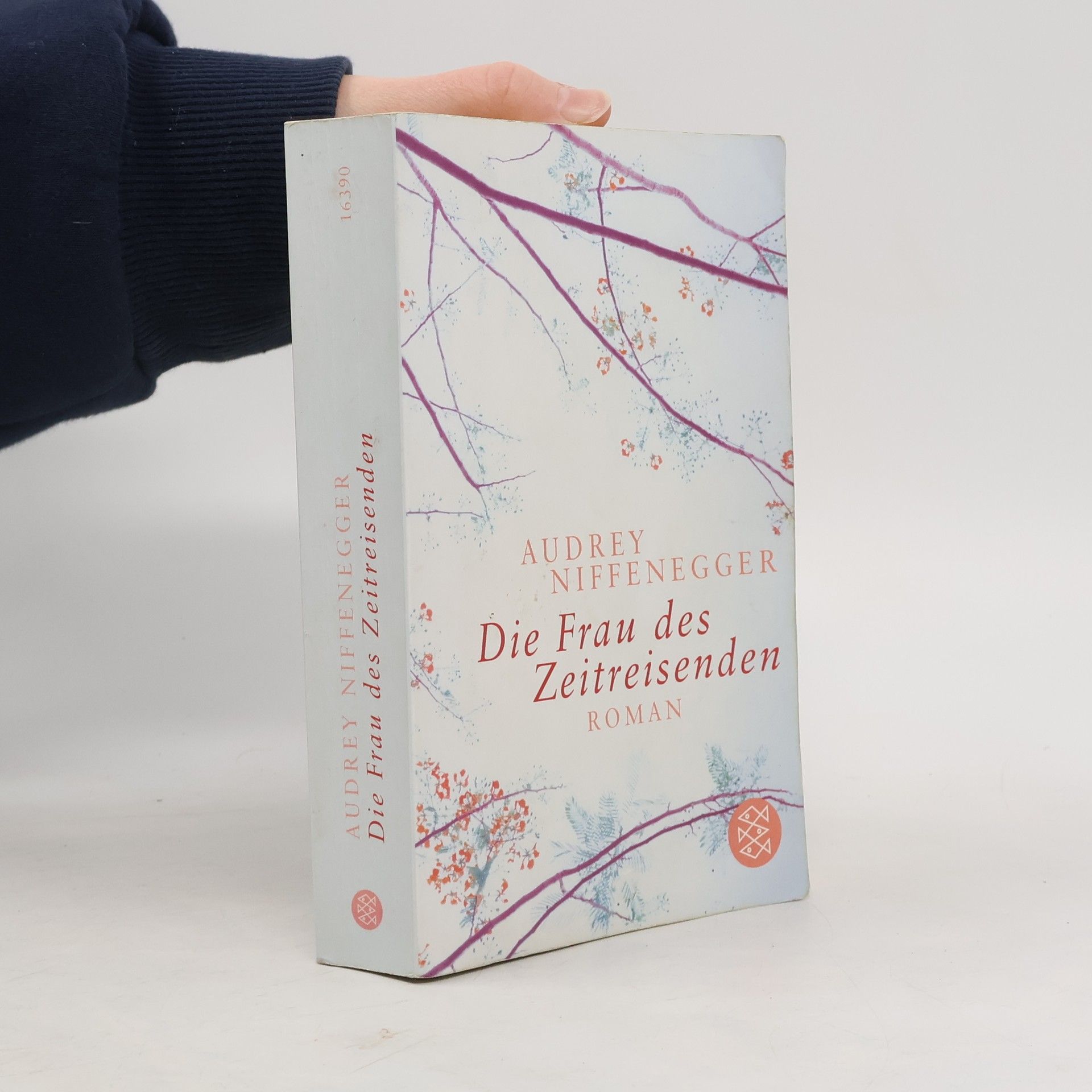 Audrey Niffenegger Die Frau des Zeitreisenden