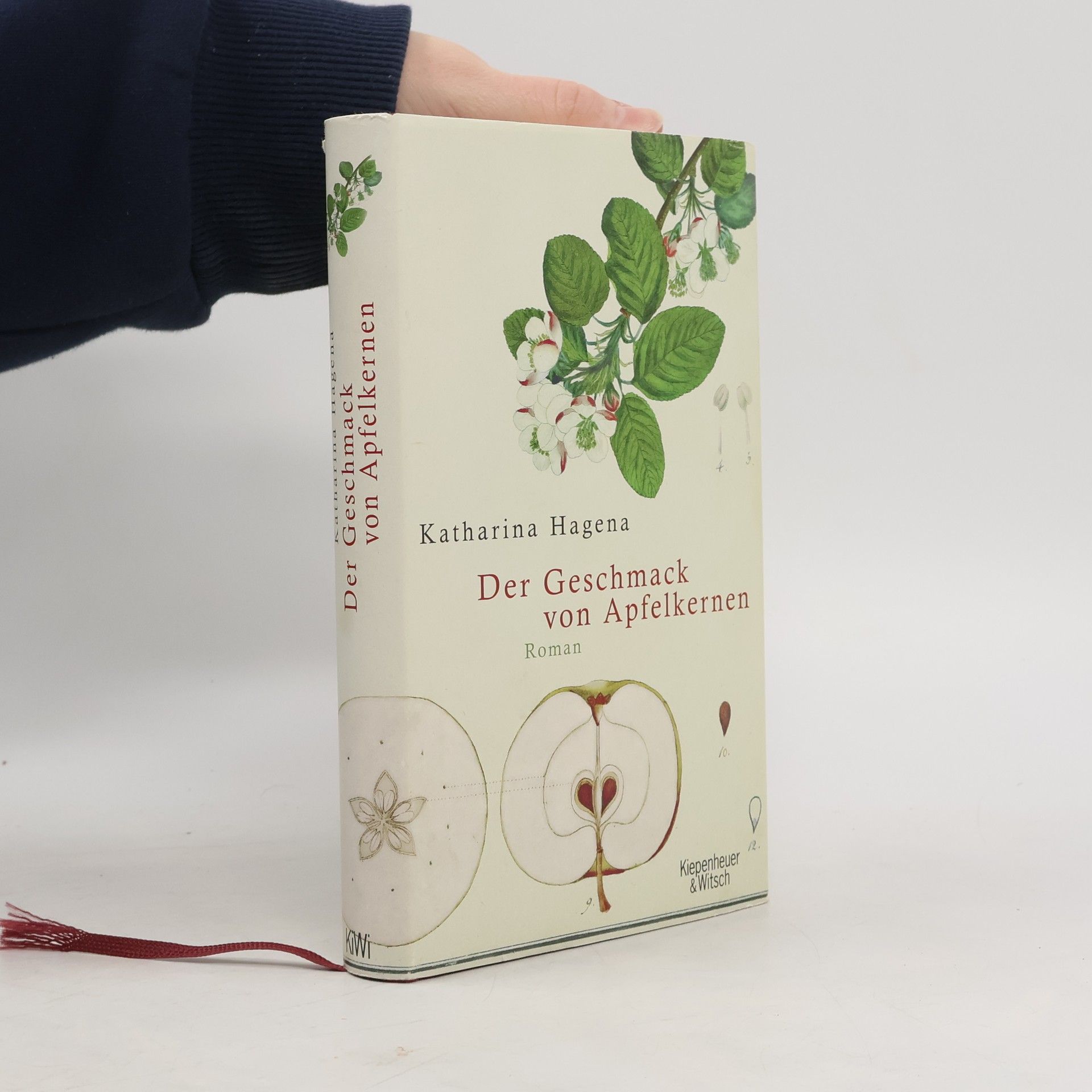 Katharina Hagena Der Geschmack von Apfelkernen