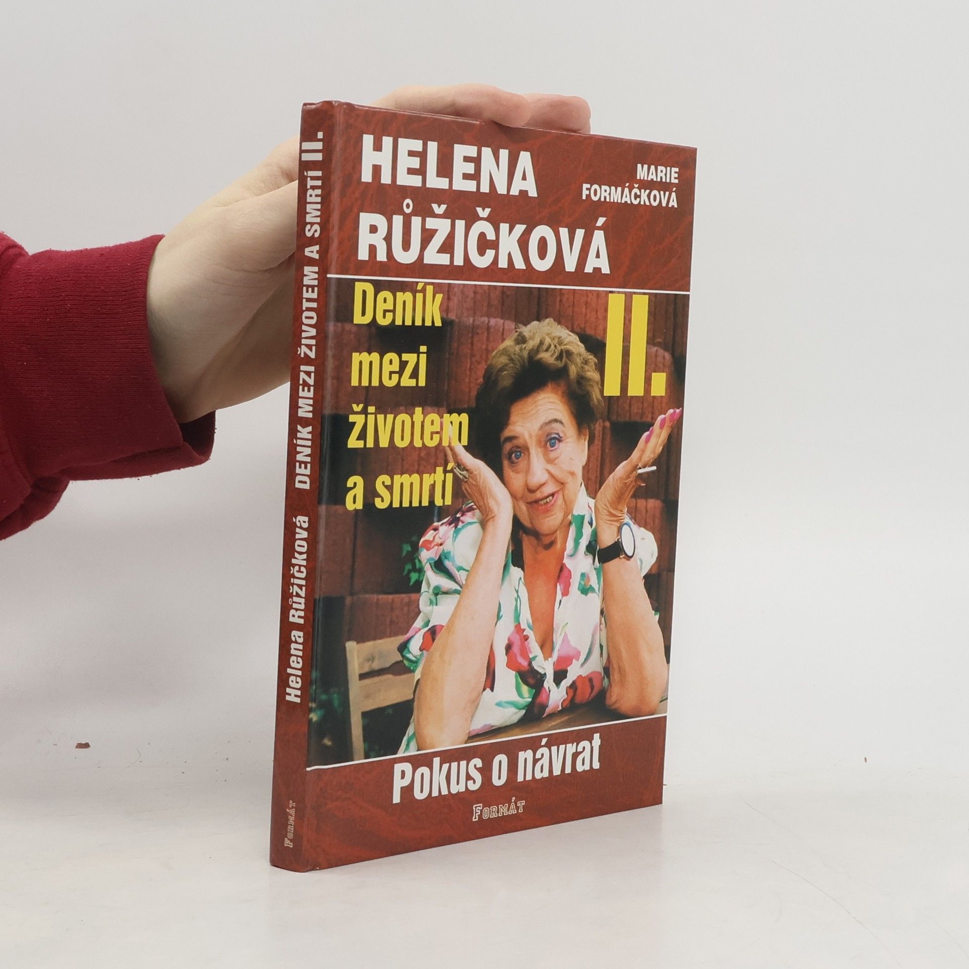 Helena Růžičková Deník mezi životem a smrtí. II., Pokus o návrat