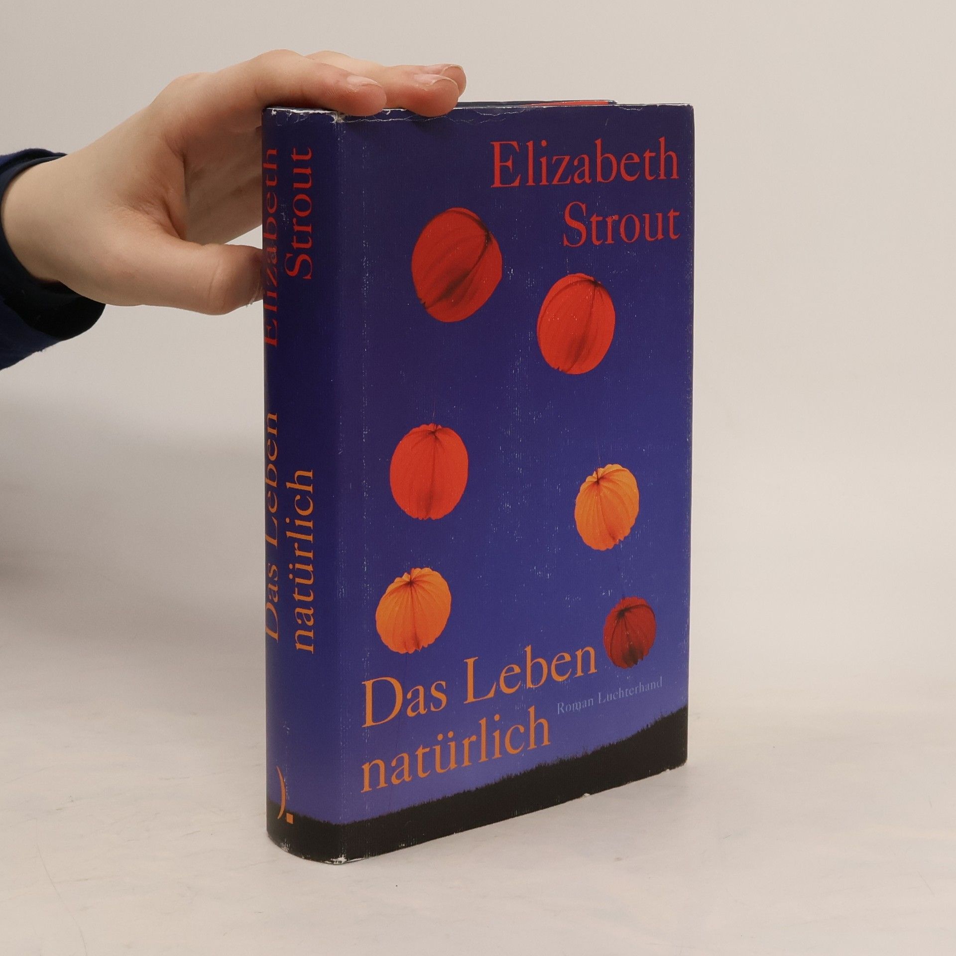Elizabeth Strout Das Leben, natürlich