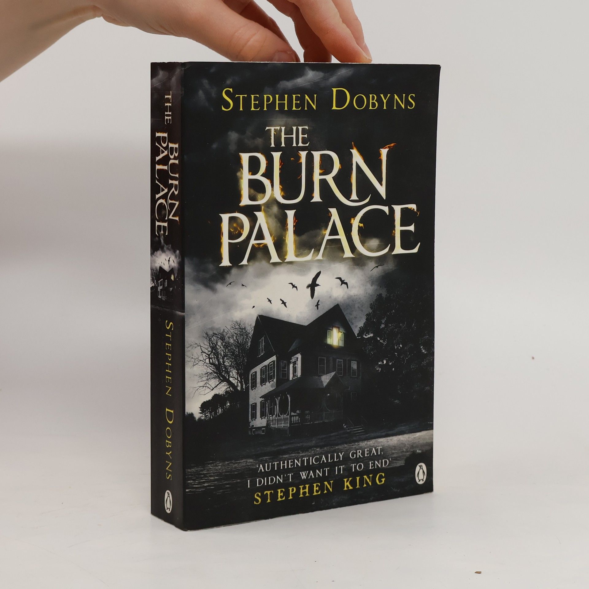Stephen Dobyns The Burn Palace