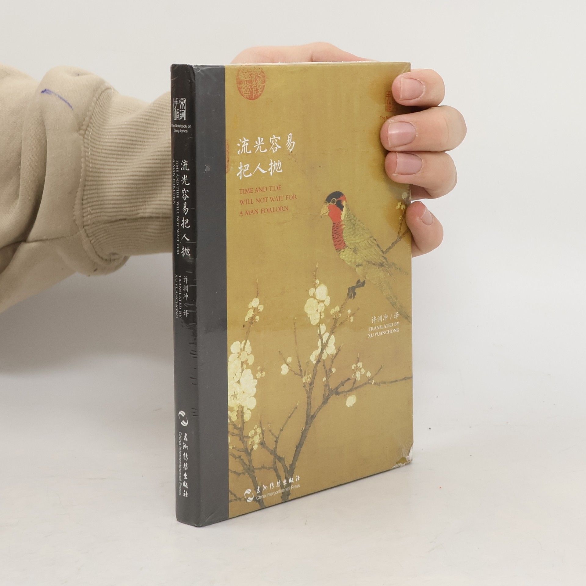 Xu Yuan Chong Time and Tide Will not Wait for a Man Forlorn