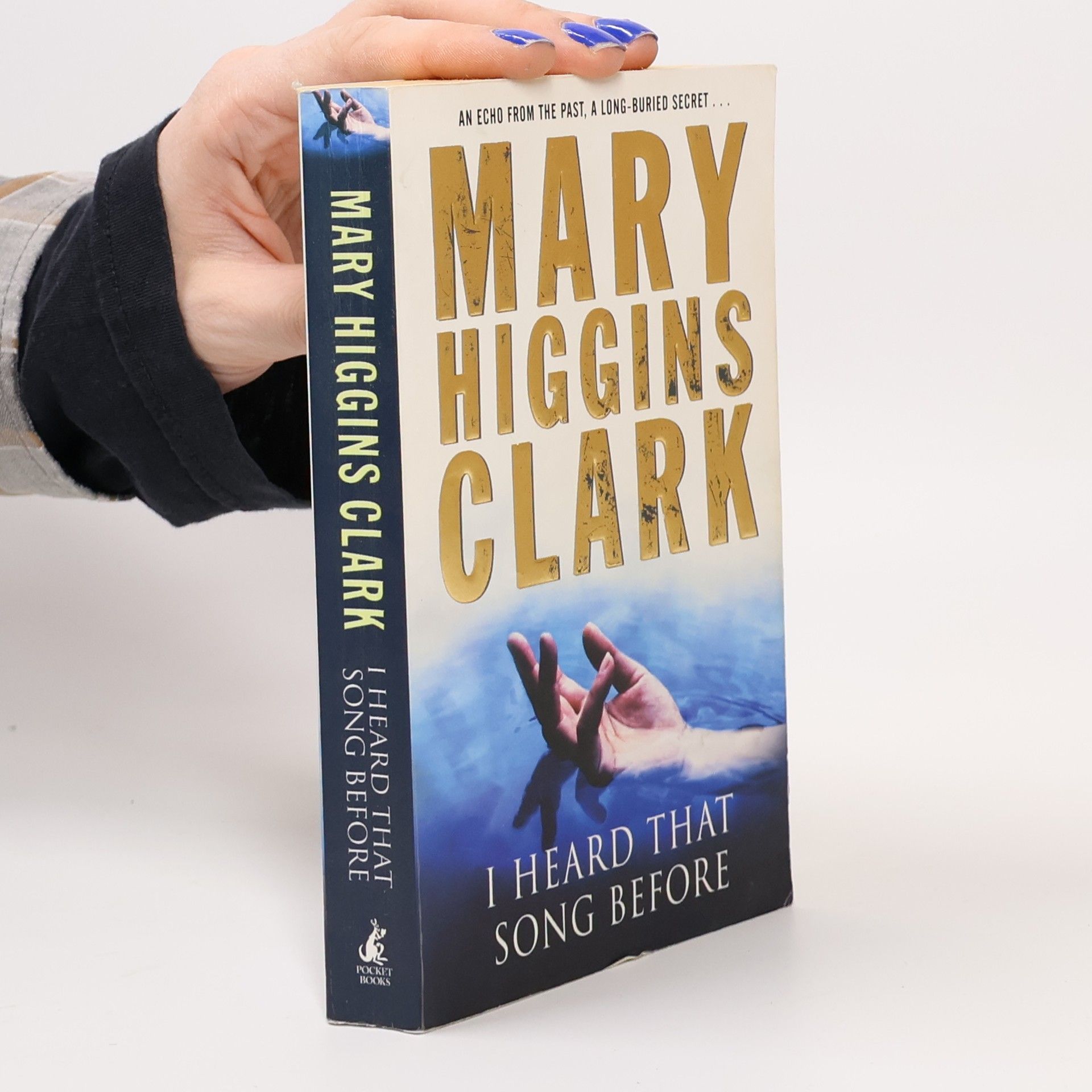 Mary Higgins Clark I Heard that Song Before