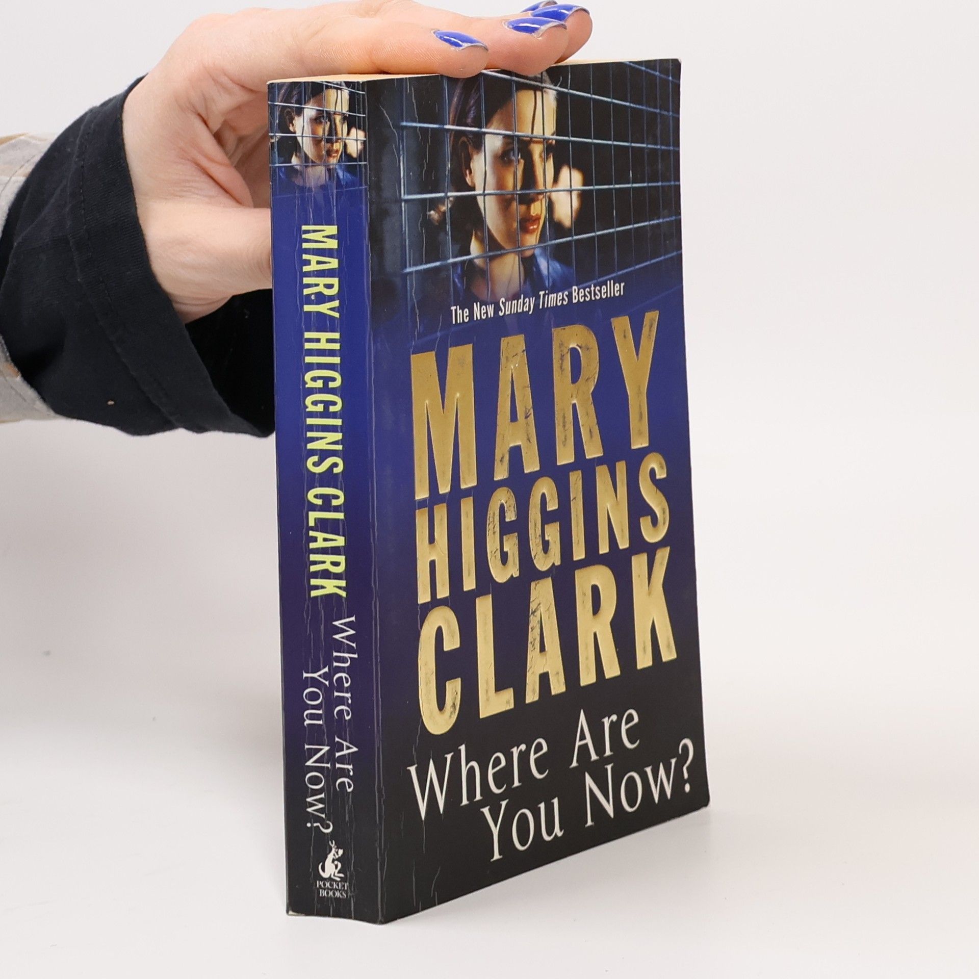 Mary Higgins Clark Where are You Now?