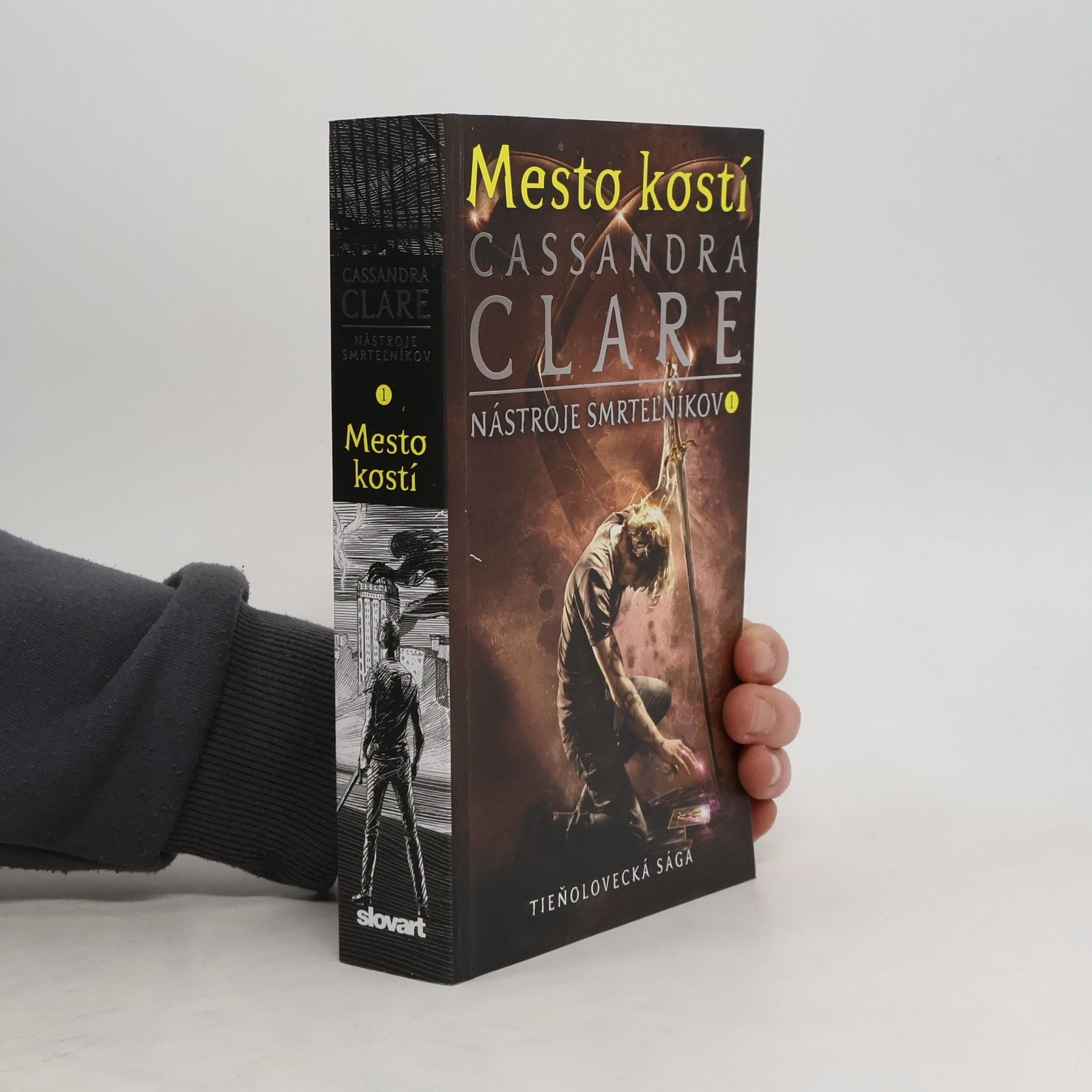 Cassandra Clare Mesto kostí