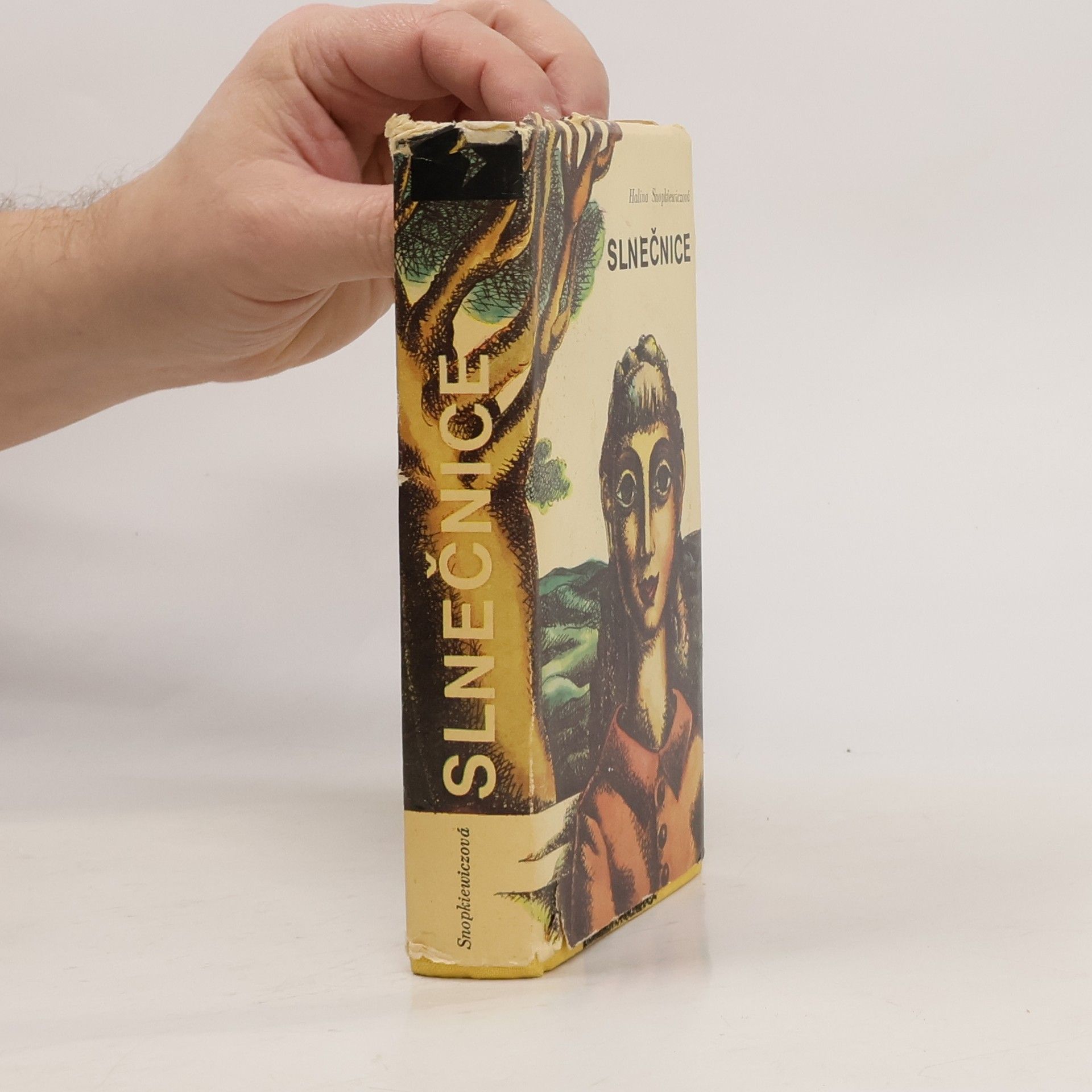 Halina Snopkiewicz Slnečnice