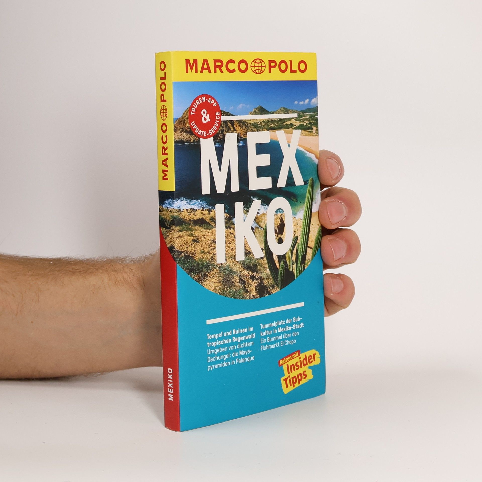 Manfred Wöbcke Mexiko