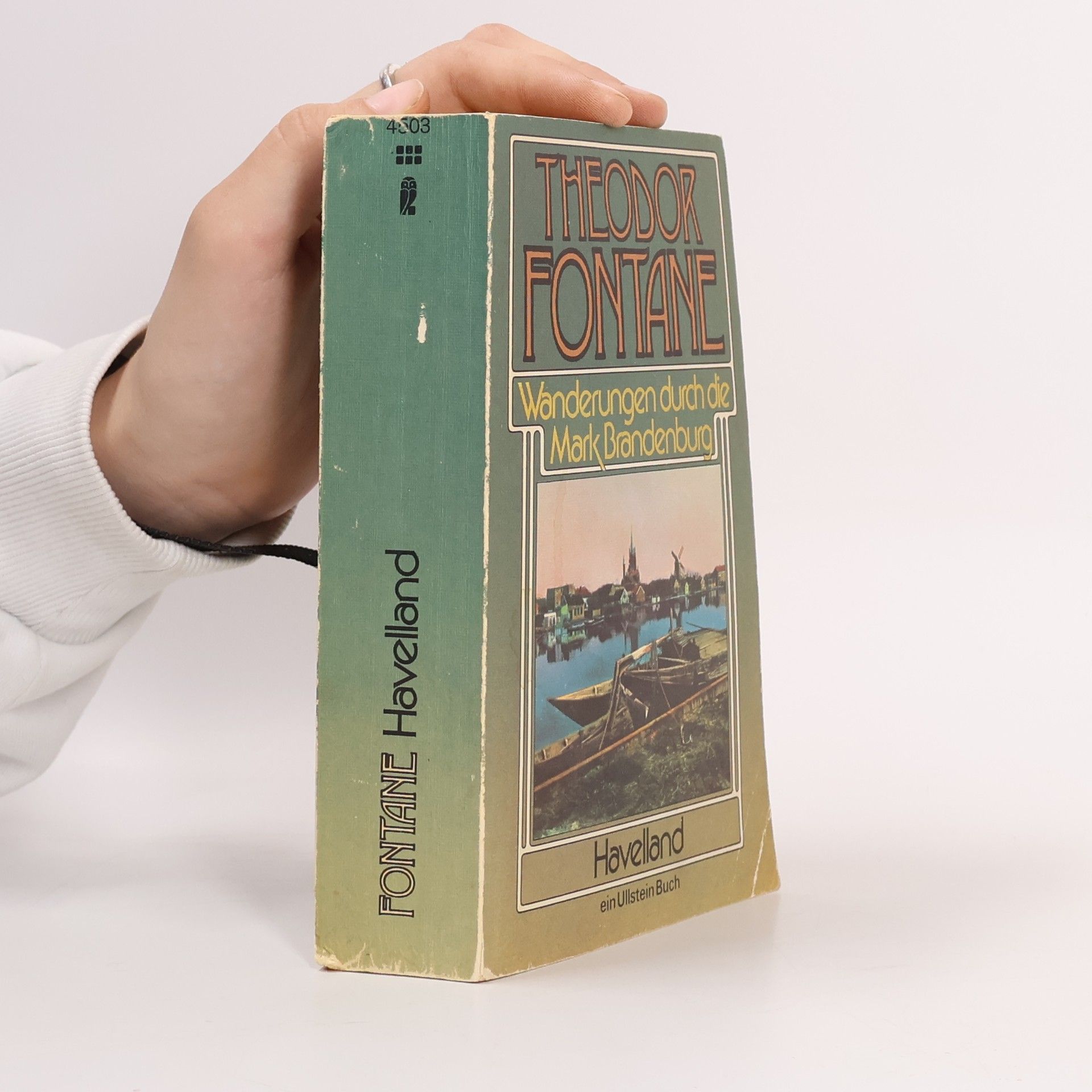 Theodor Fontane Wanderungen durch die Mark Brandenburg. Bd.3. Havelland. Hrsg. v. Walter Keitel u. Helmuth Nürnberger