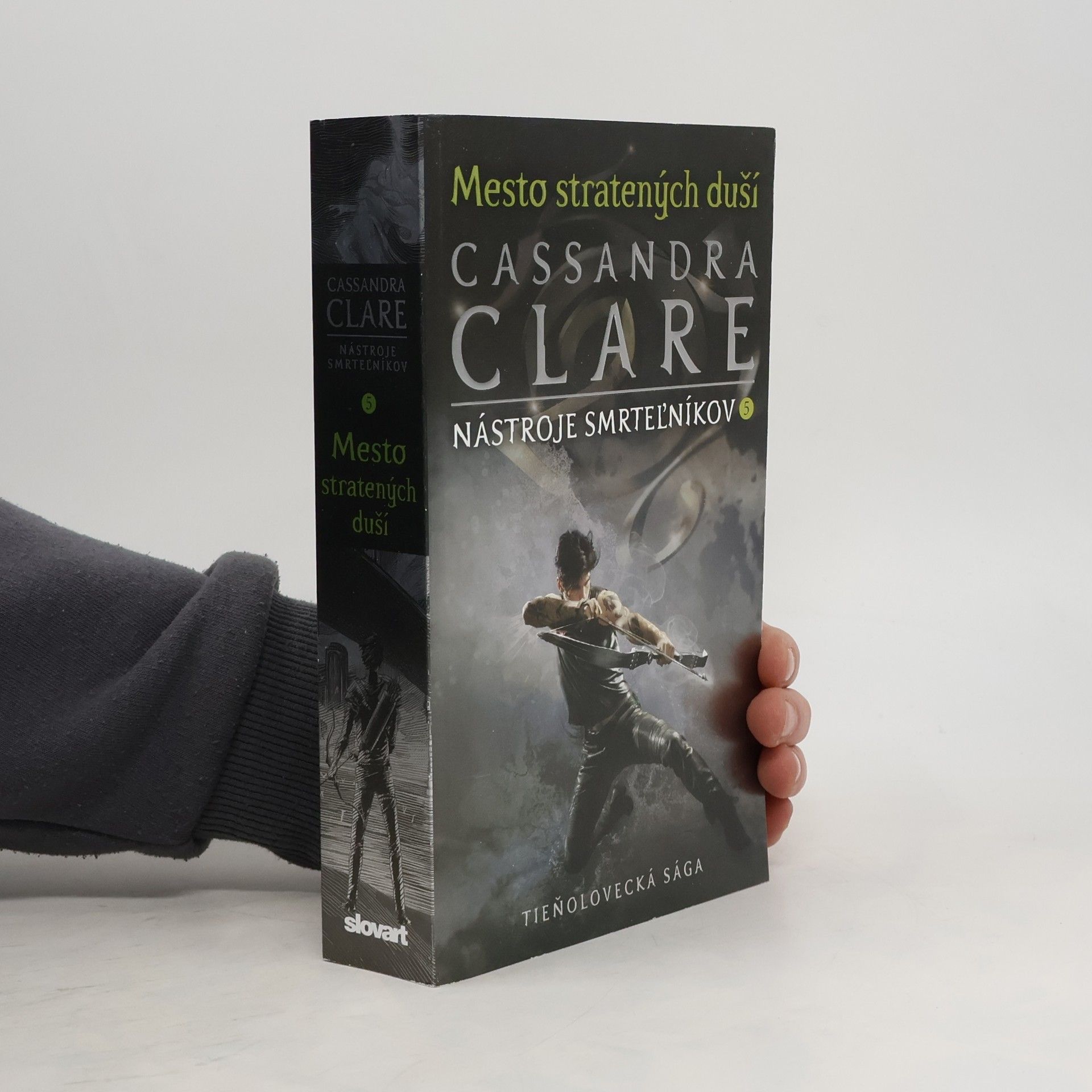 Cassandra Clare Mesto stratených duší