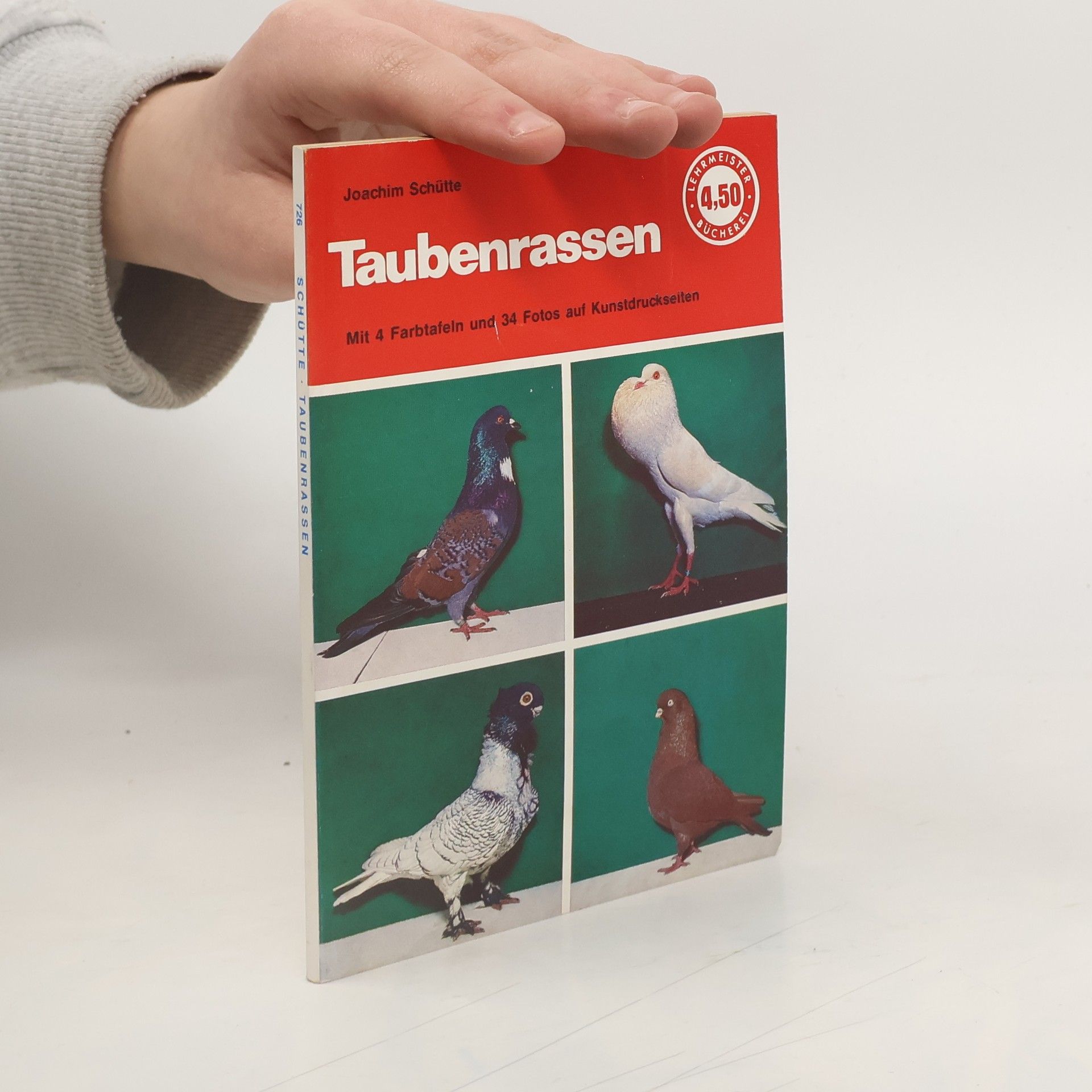 Joachim Schütte Taubenrassen