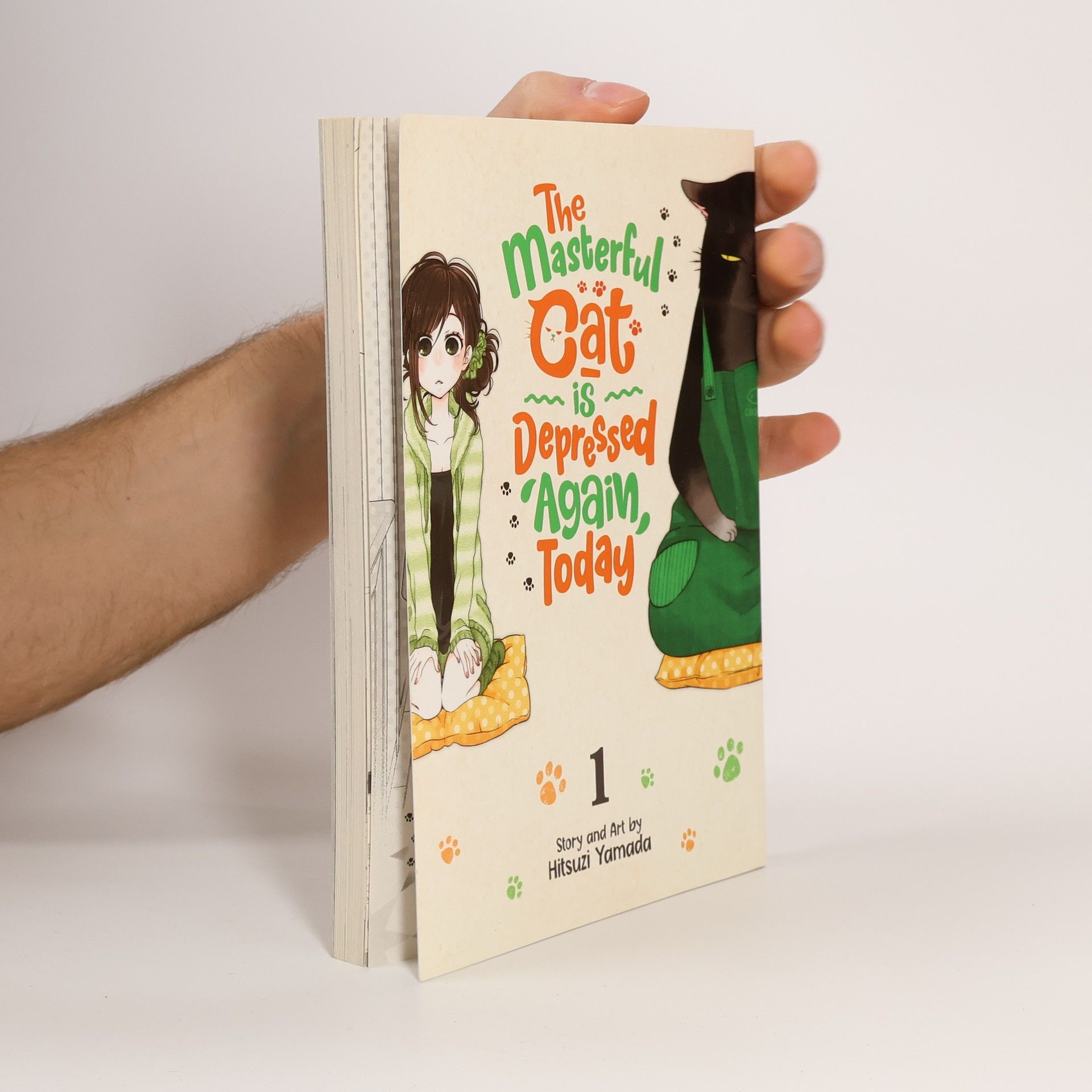 Hitsuji Yamada The Masterful Cat Is Depressed Again Today Vol. 1