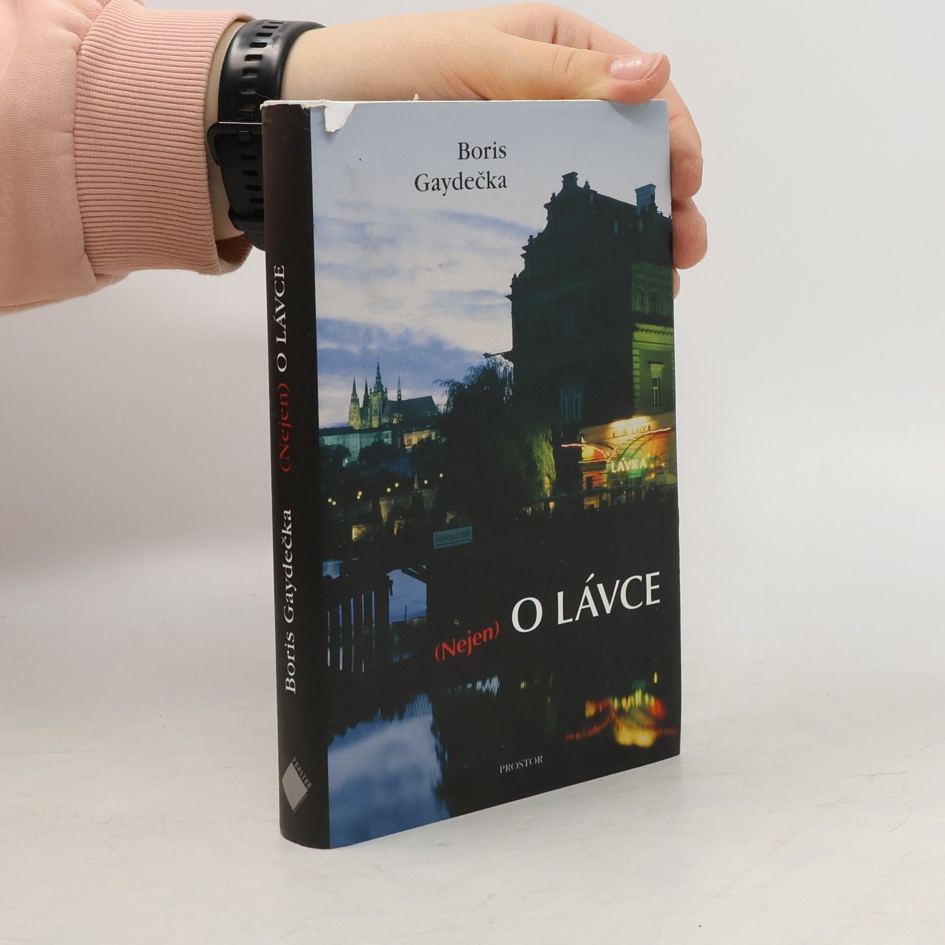 Boris Gaydečka Nejen o Lávce