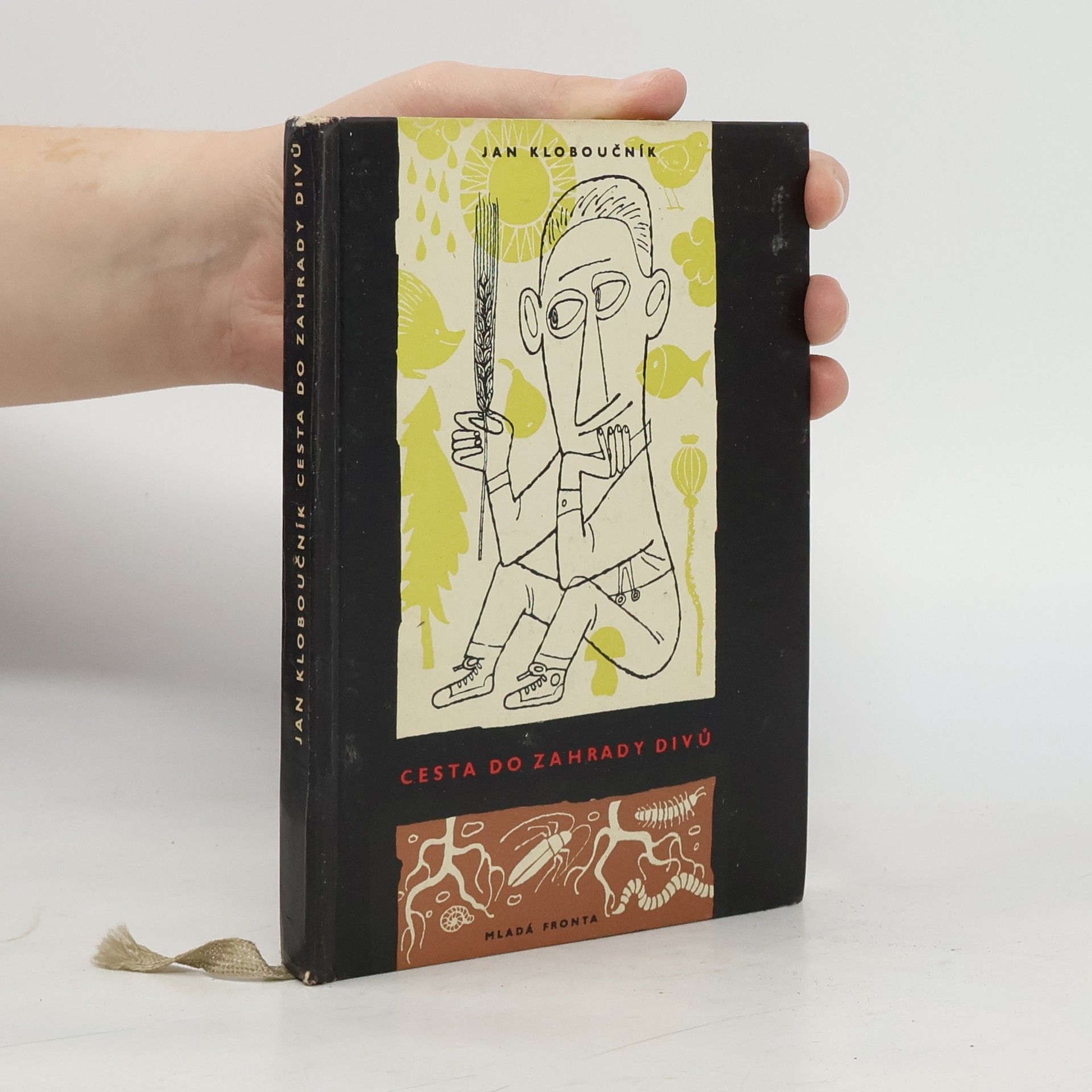 Cesta do zahrady divů