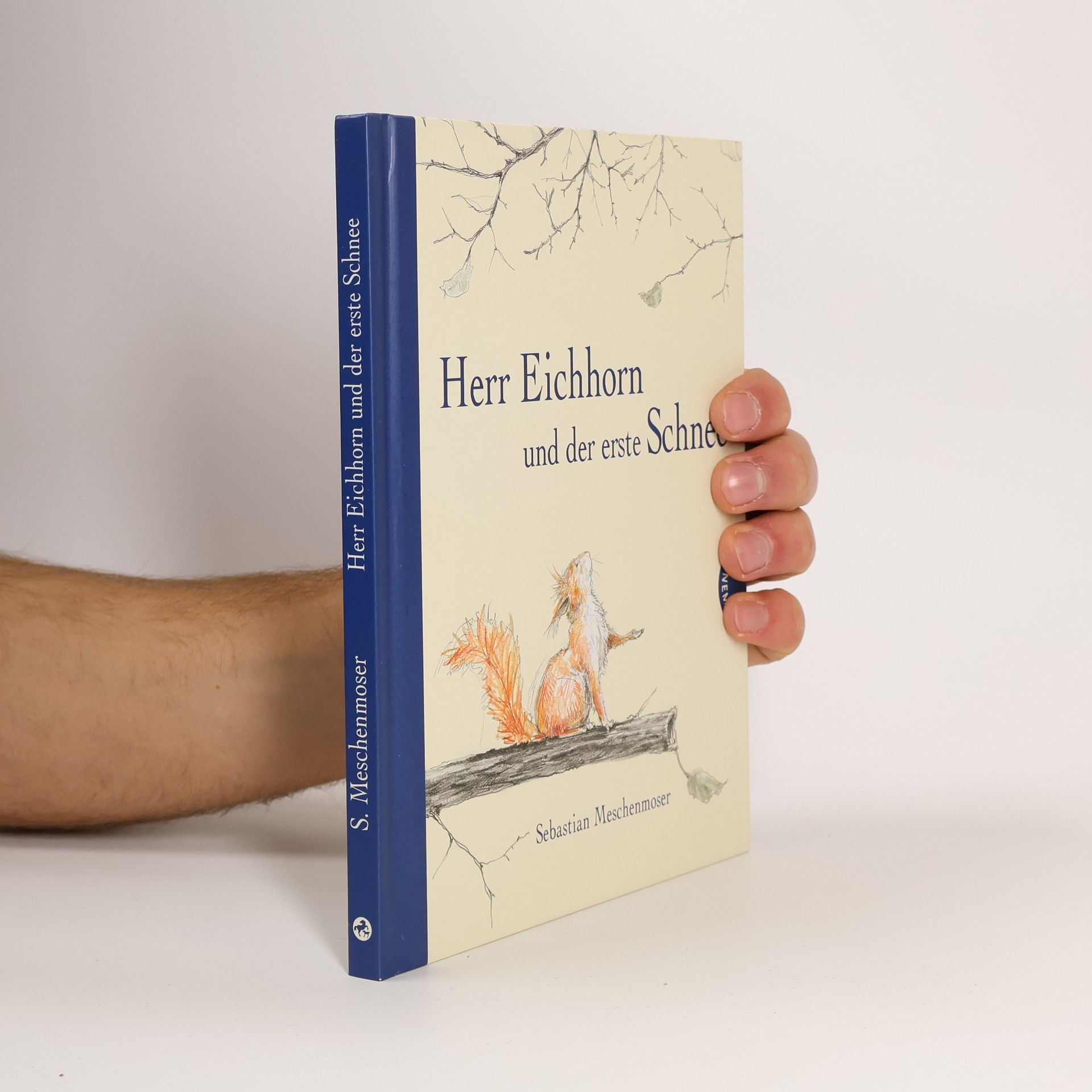 Sebastian Meschenmoser Herr Eichhorn und der erste Schnee