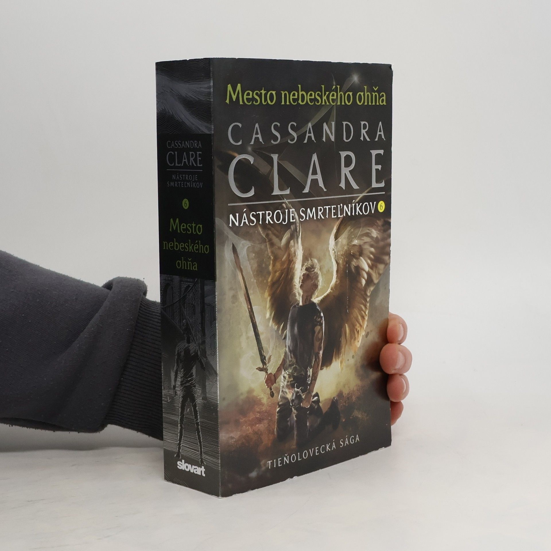 Cassandra Clare Mesto nebeského ohňa