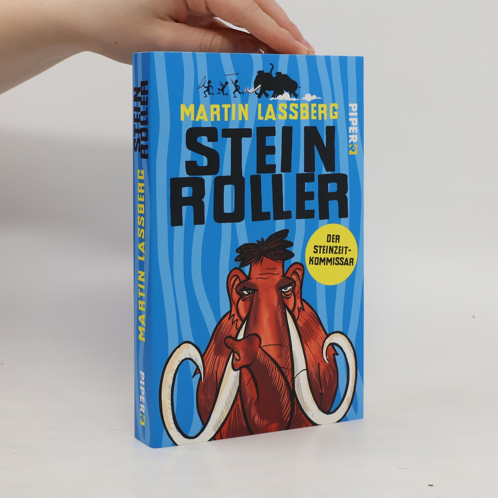 Martin Lassberg Steinroller