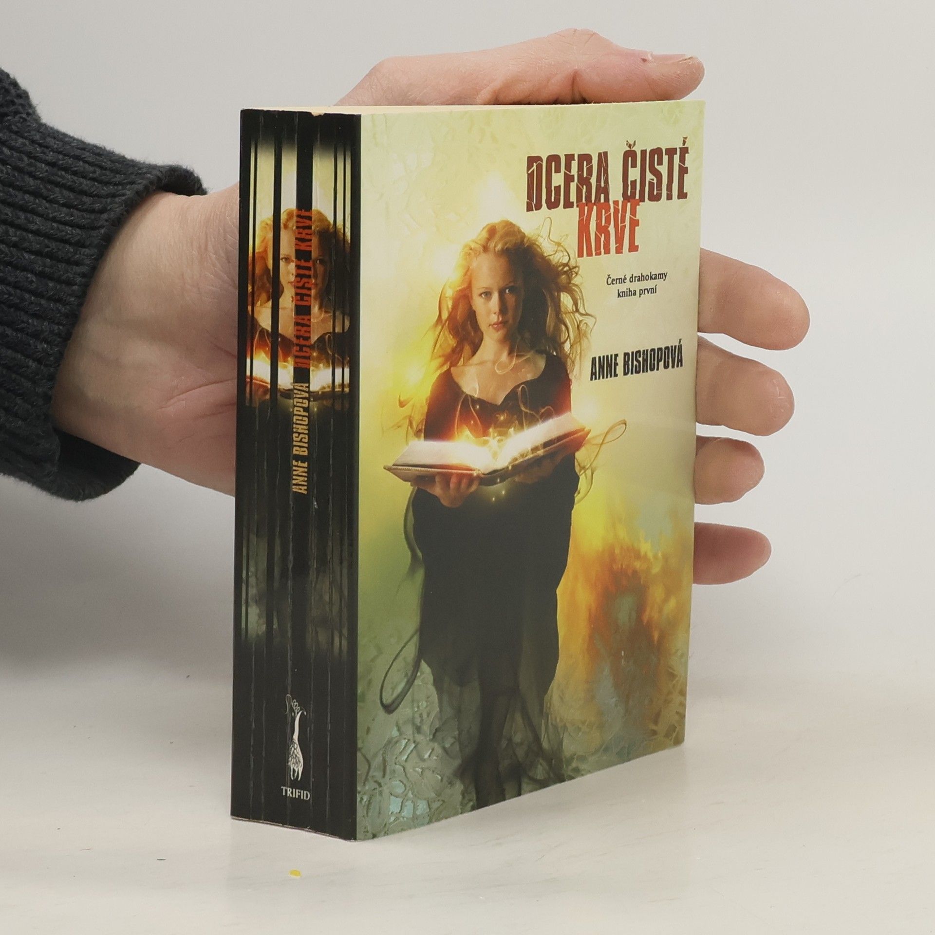 Anne Bishop Dcera čisté krve - Černé drahokam (1. díl série)