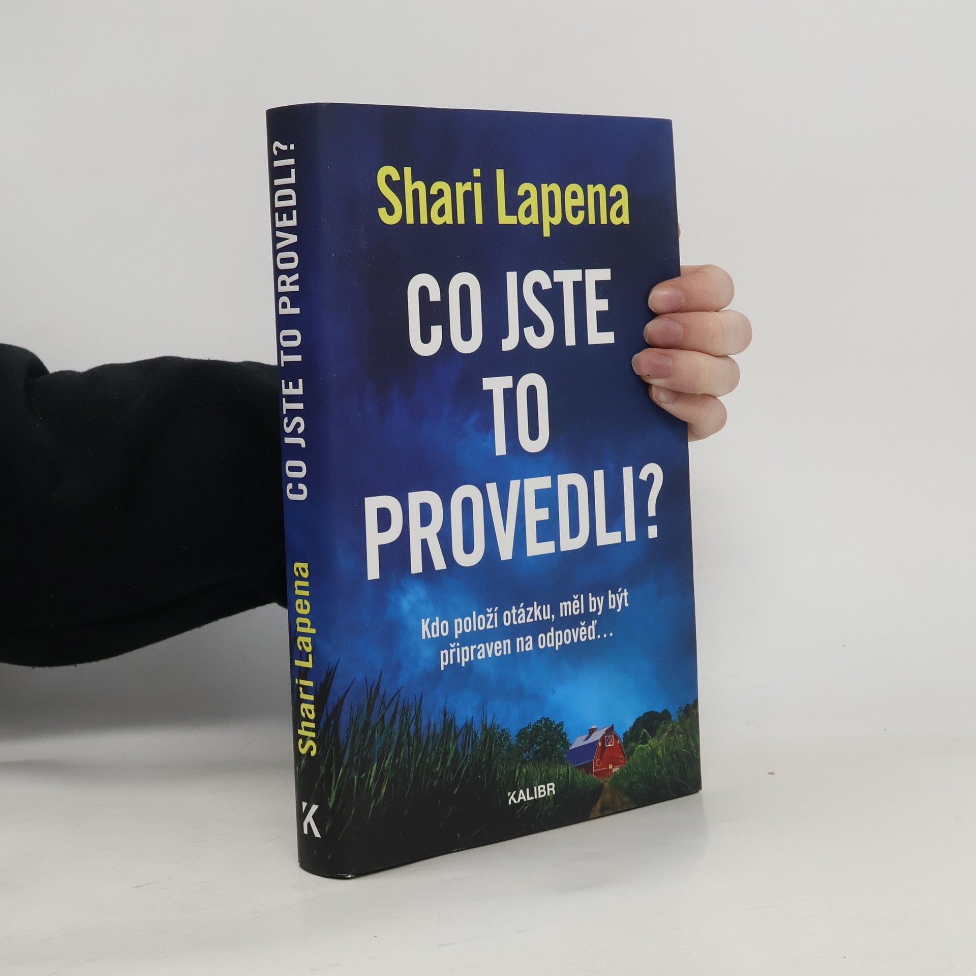 Shari Lapena Co jste to provedli?