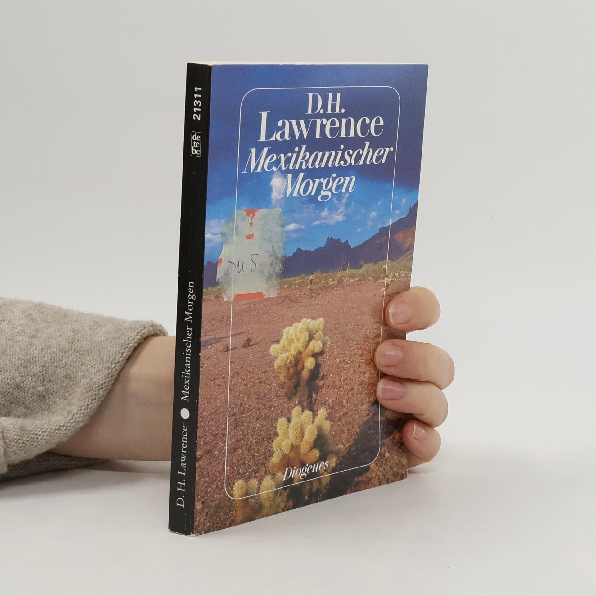 D. H. Lawrence Mexikanischer Morgen