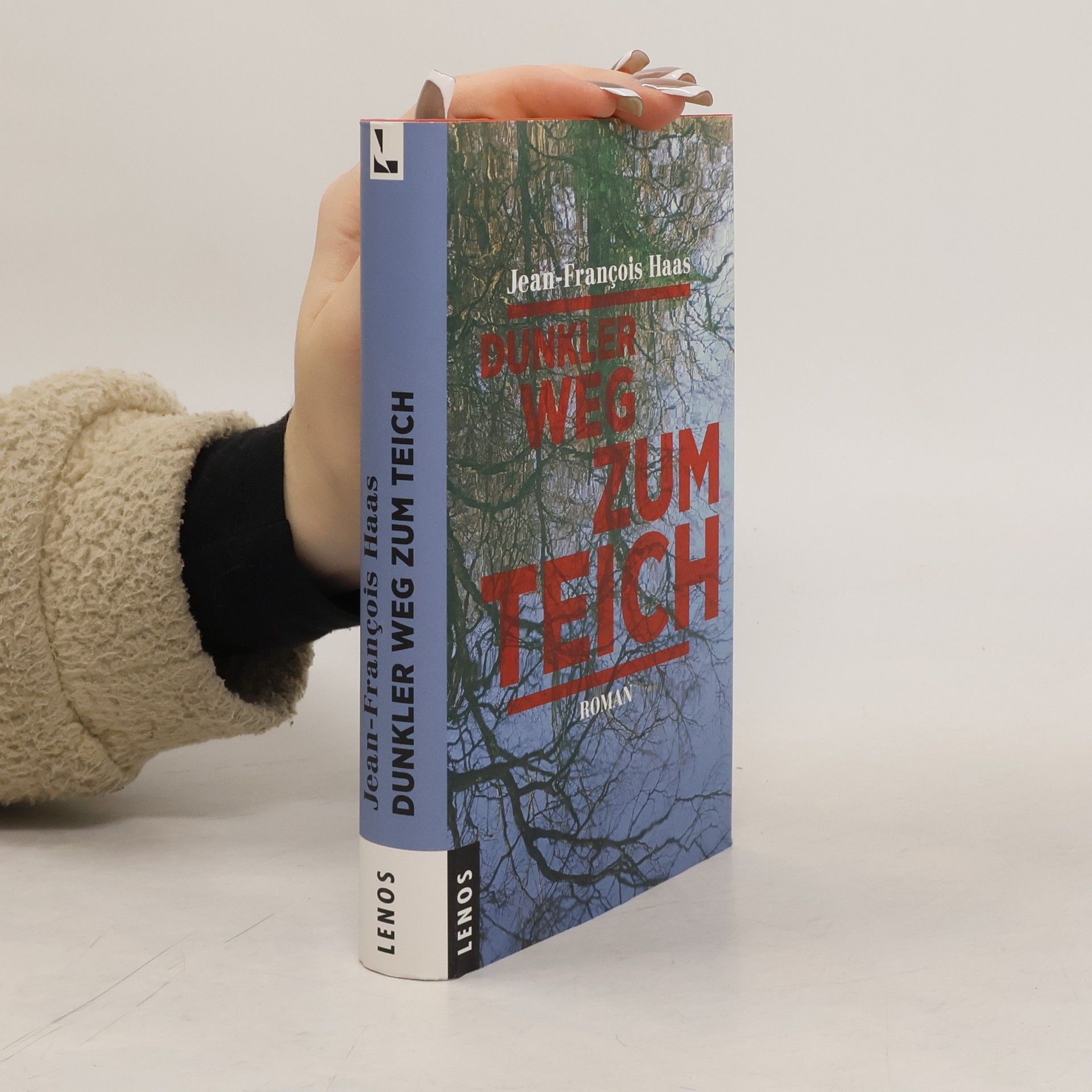 Jean-François Haas Dunkler Weg zum Teich