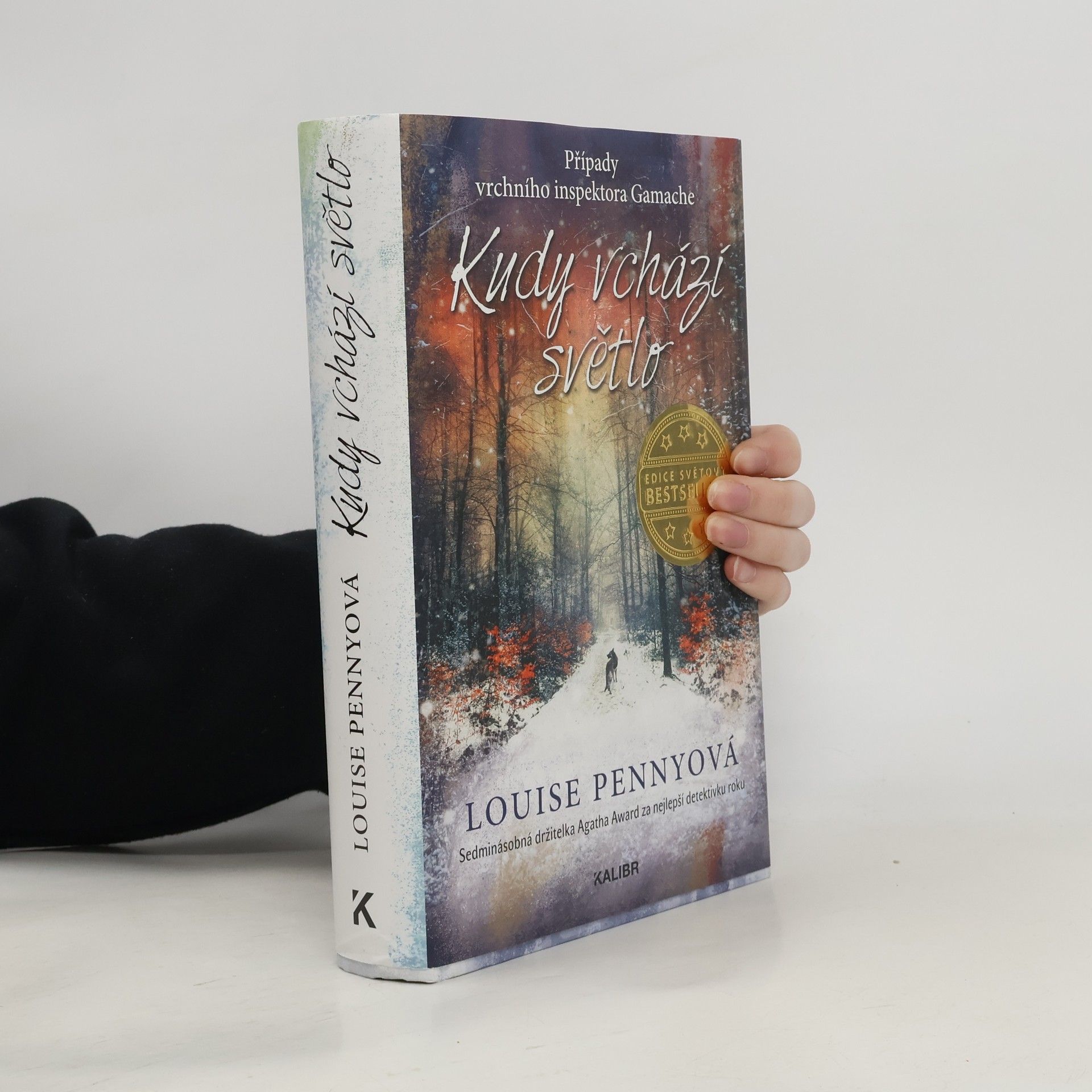 Louise Penny Kudy vchází světlo