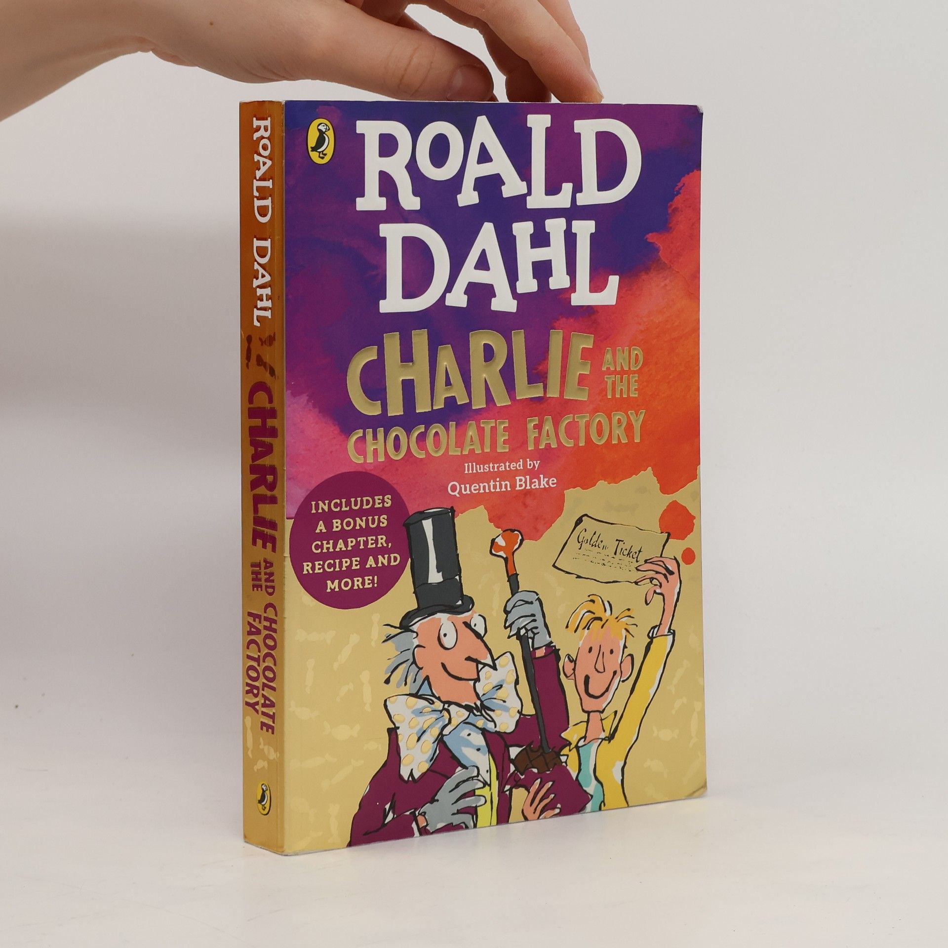 Roald Dahl Charlie and the Chocolate Factory