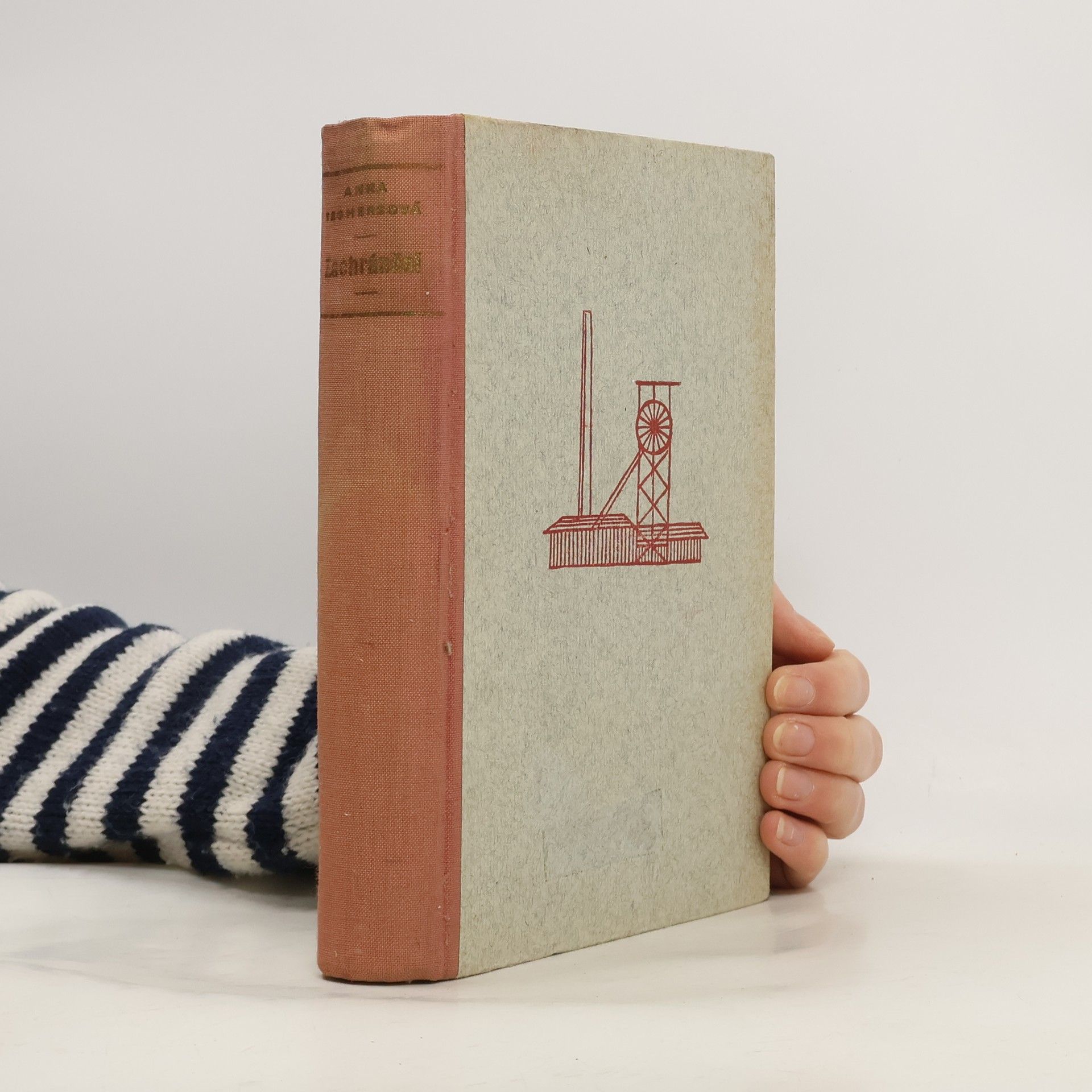 Anna Seghers Zachránění : Román