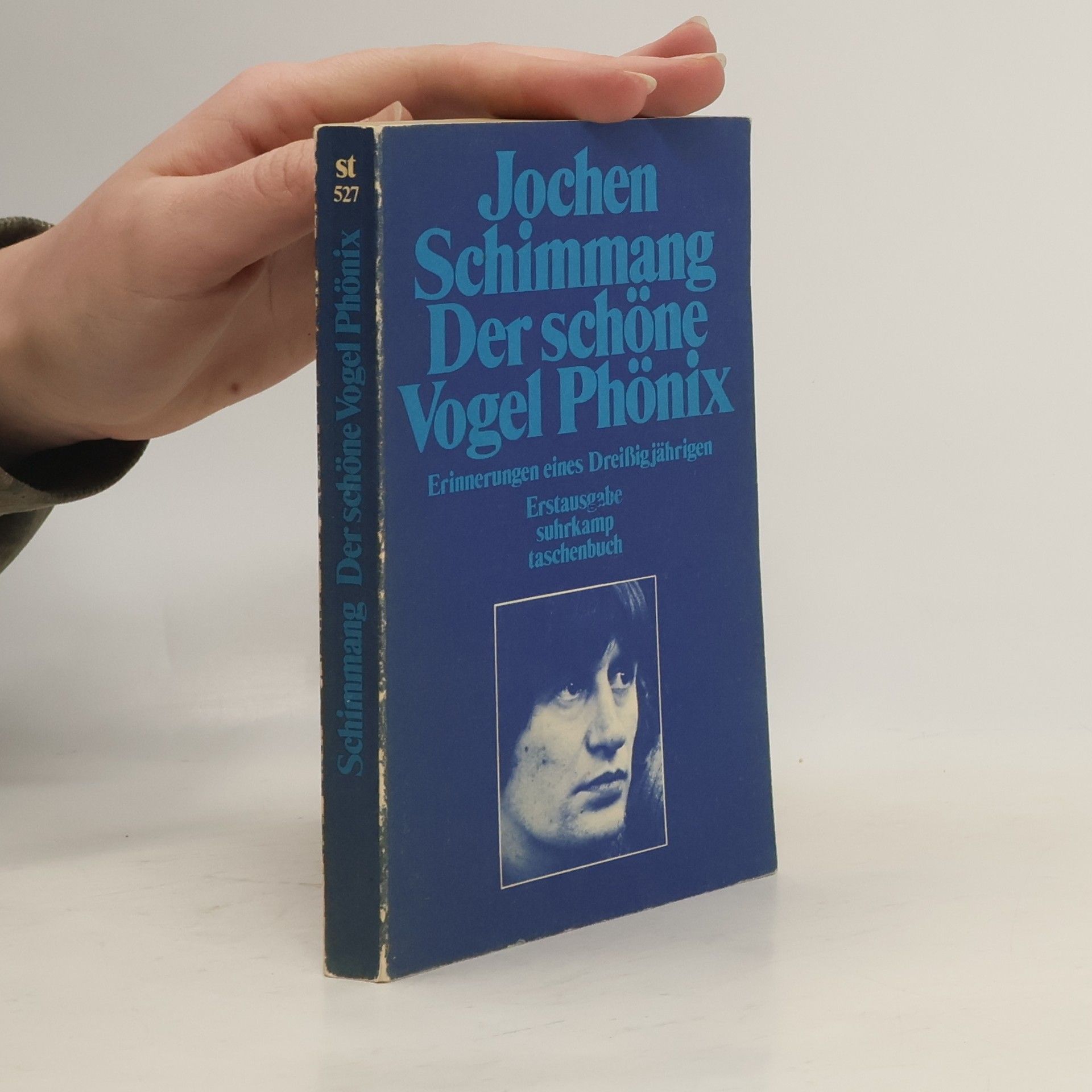 Jochen Schimmang Der schöne Vogel Phönix