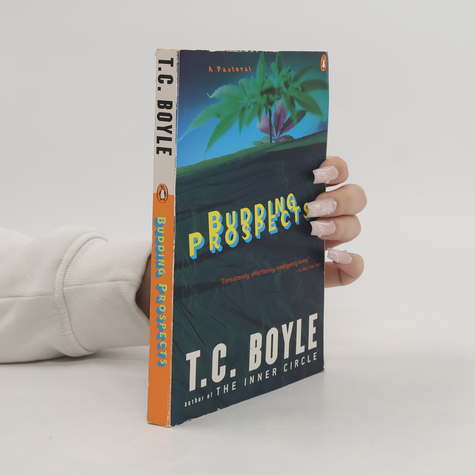 T. C. Boyle Budding Prospects