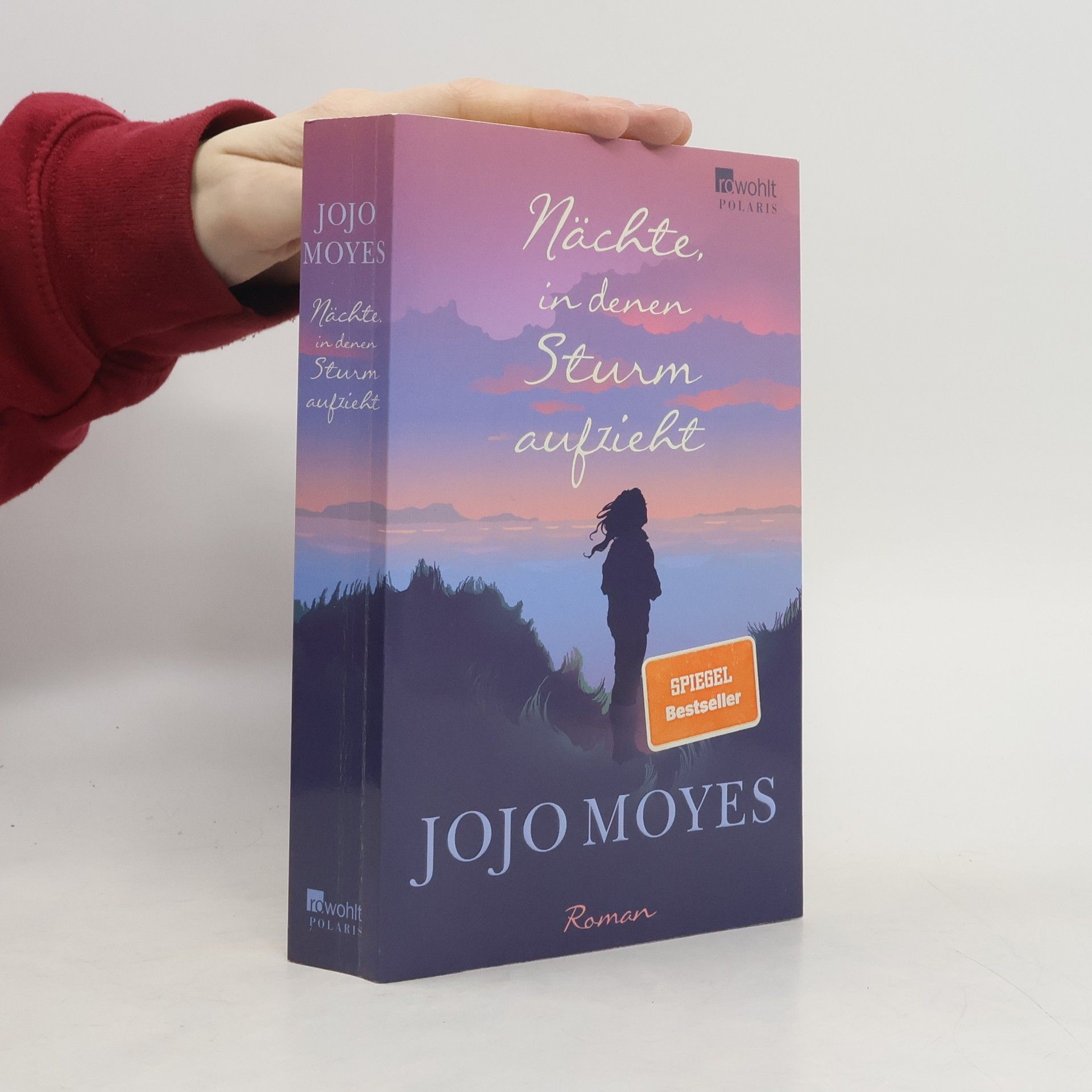 Jojo Moyes Nächte in denen Sturm aufzieht