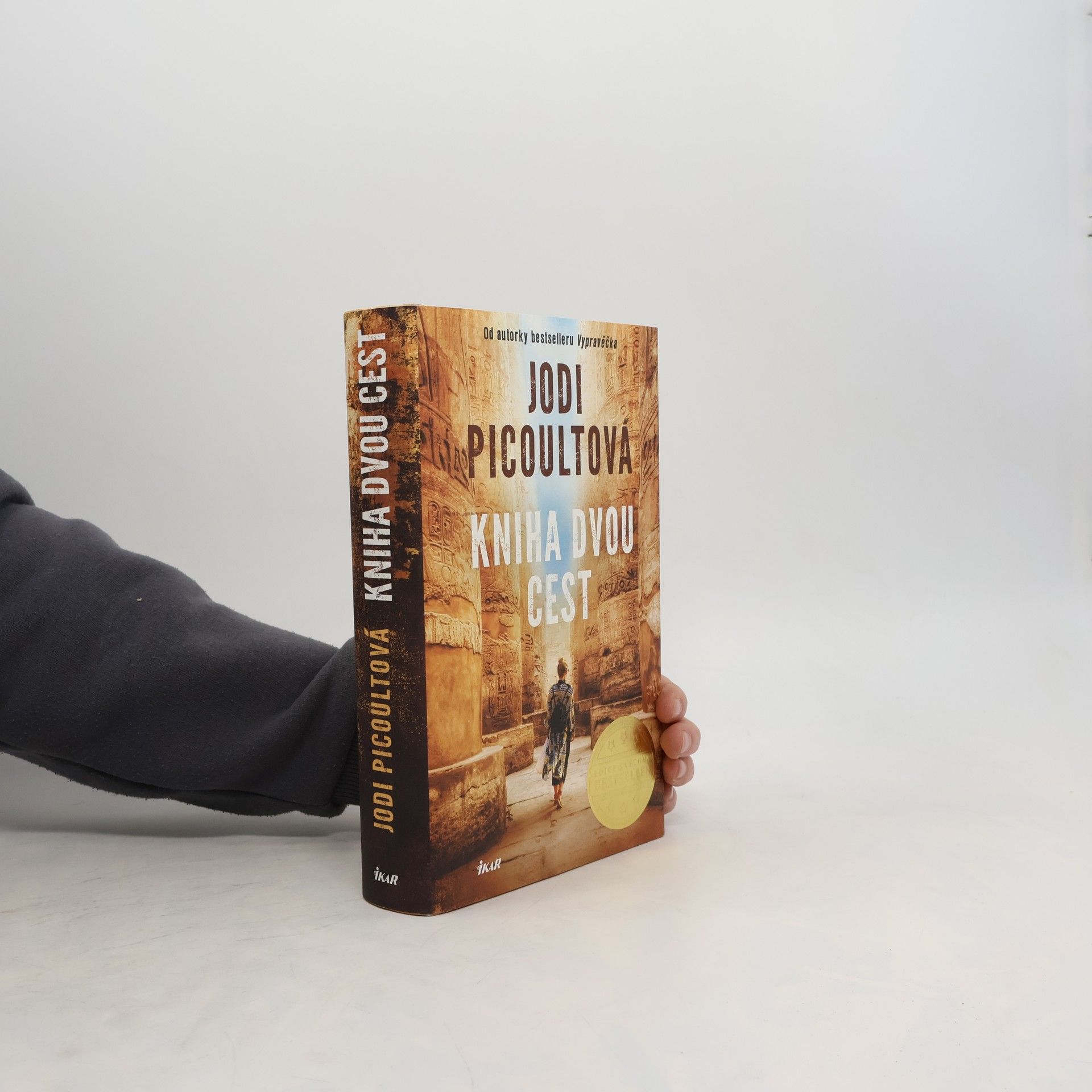 Jodi Picoult Kniha dvou cest