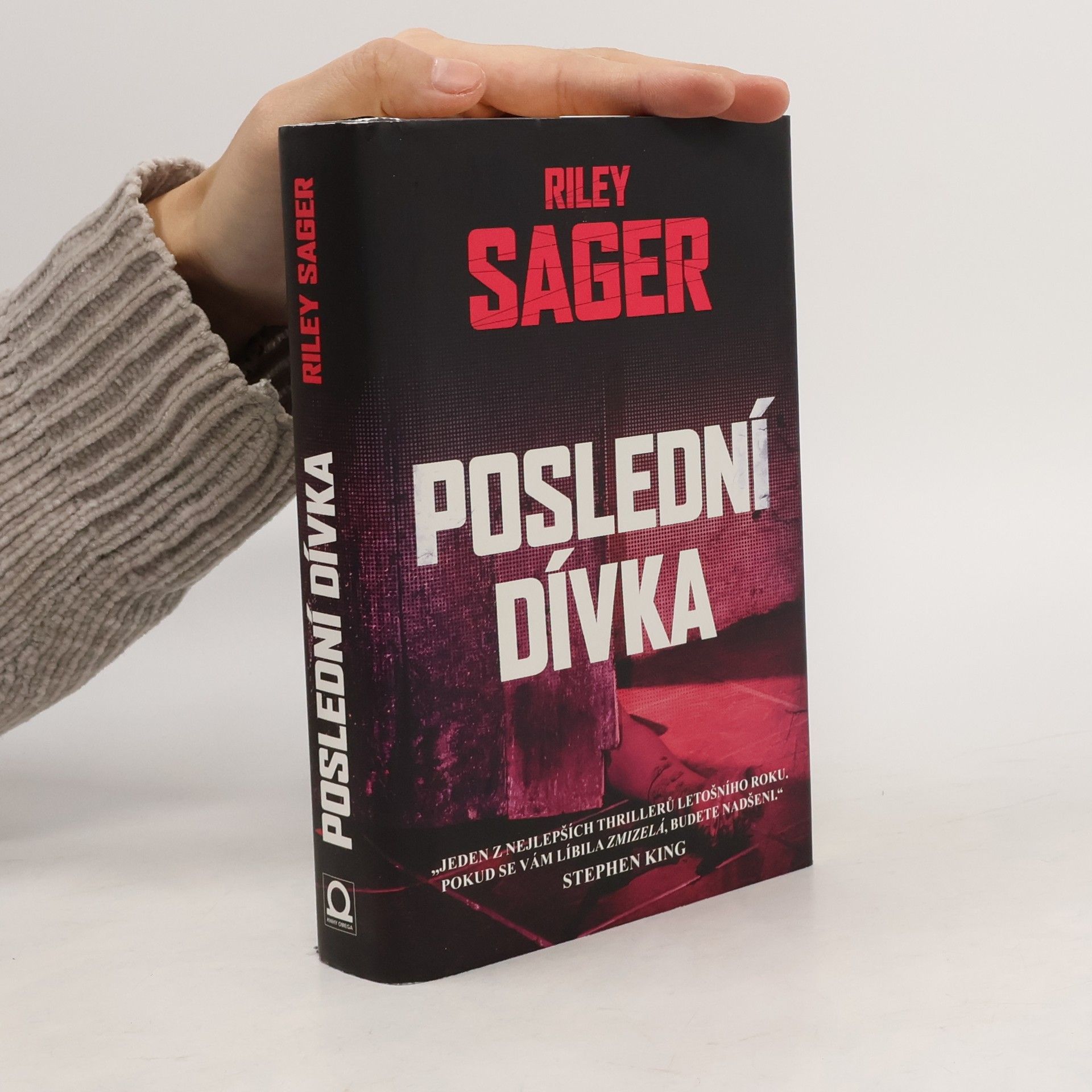 Todd Ritter Poslední dívka