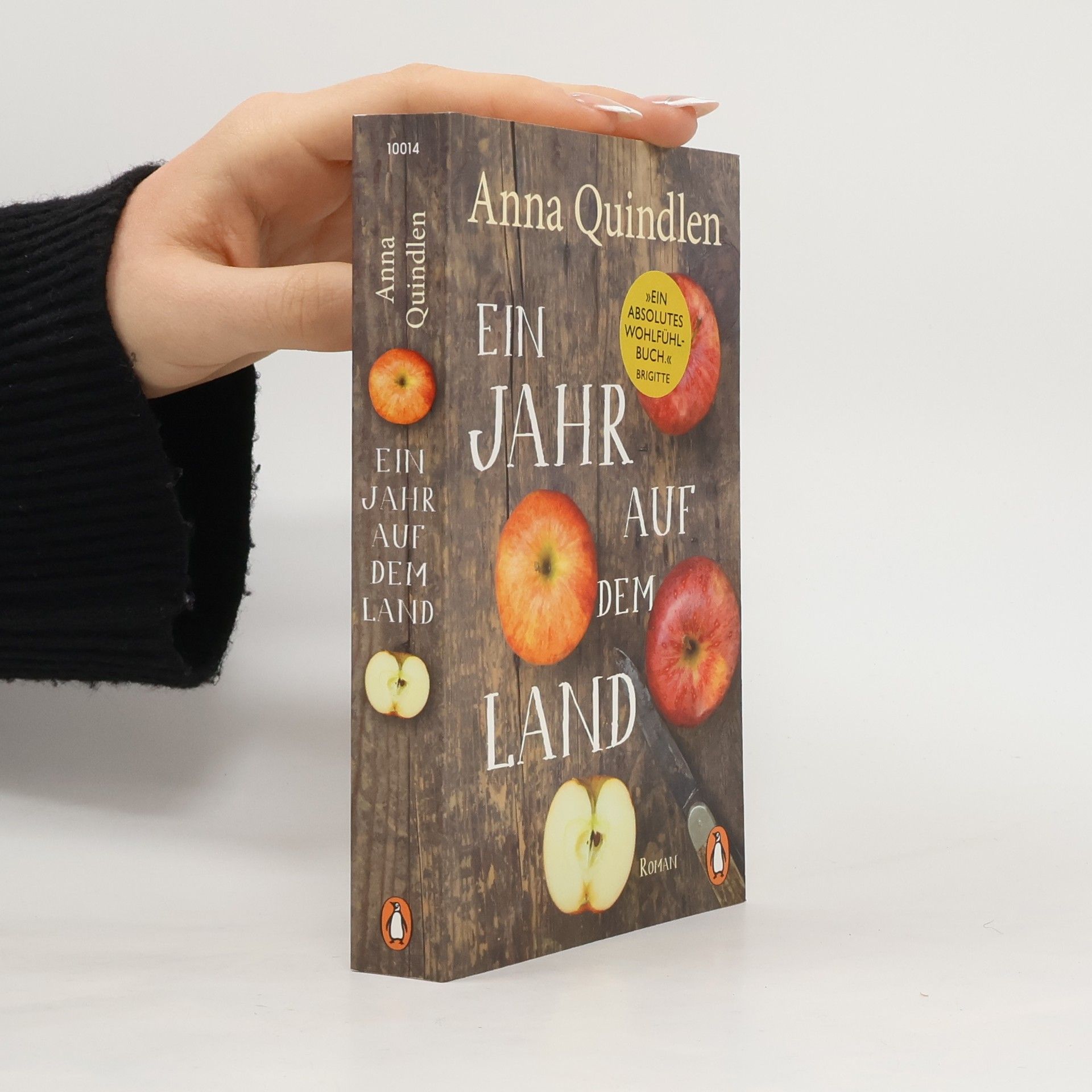 Anna Quindlen Ein Jahr auf dem Land