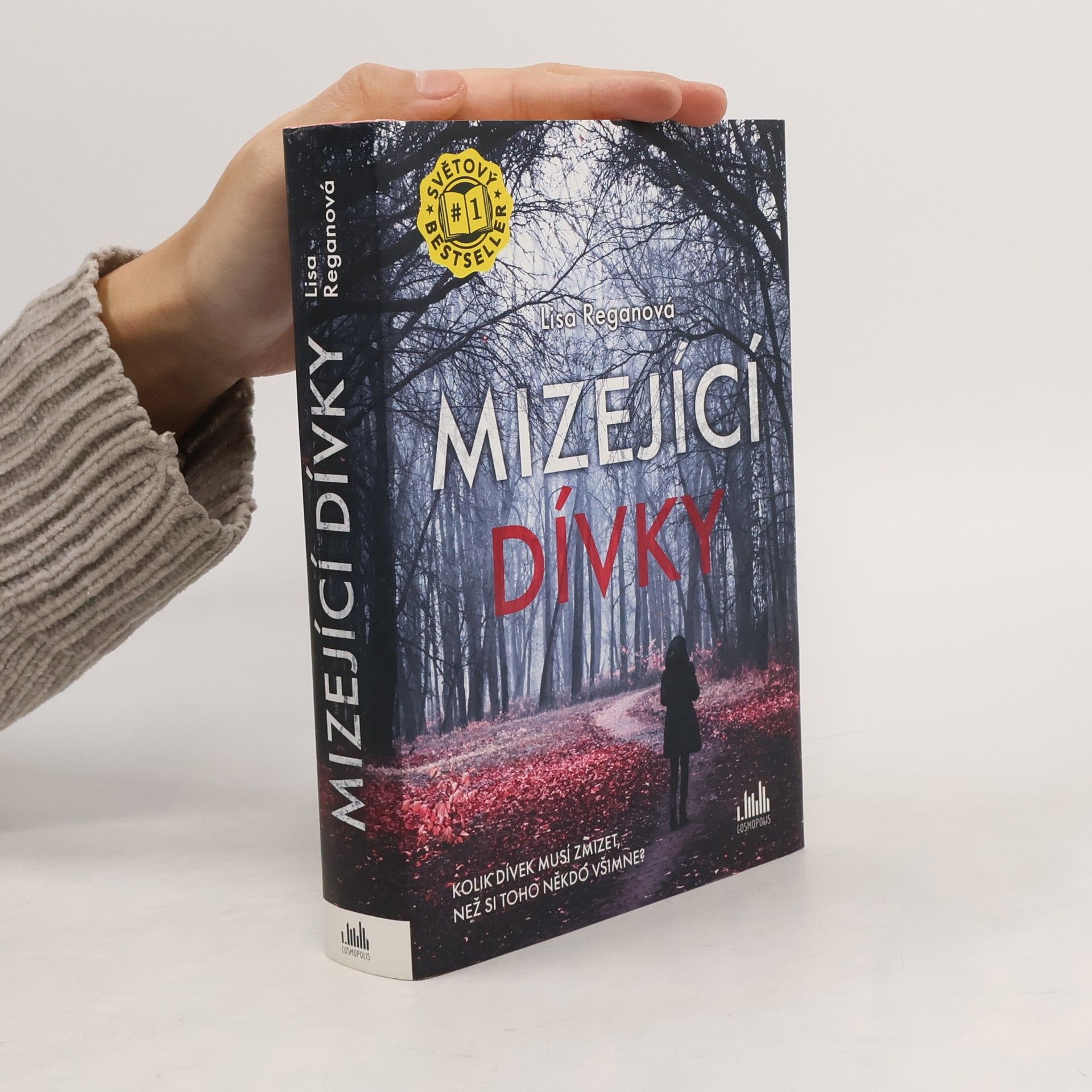 Lisa Regan Mizející dívky