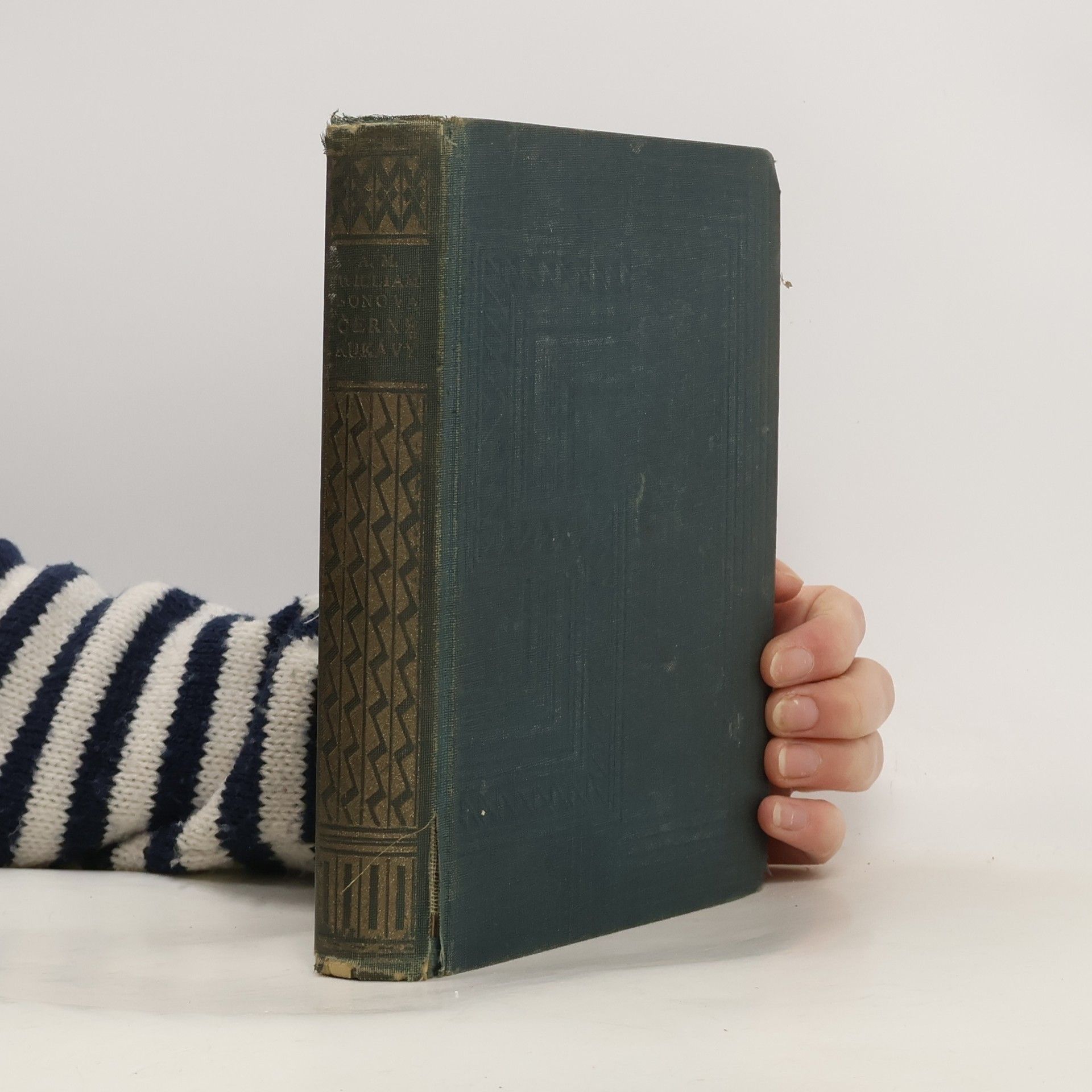 A. M. Williamson Černé rukávy