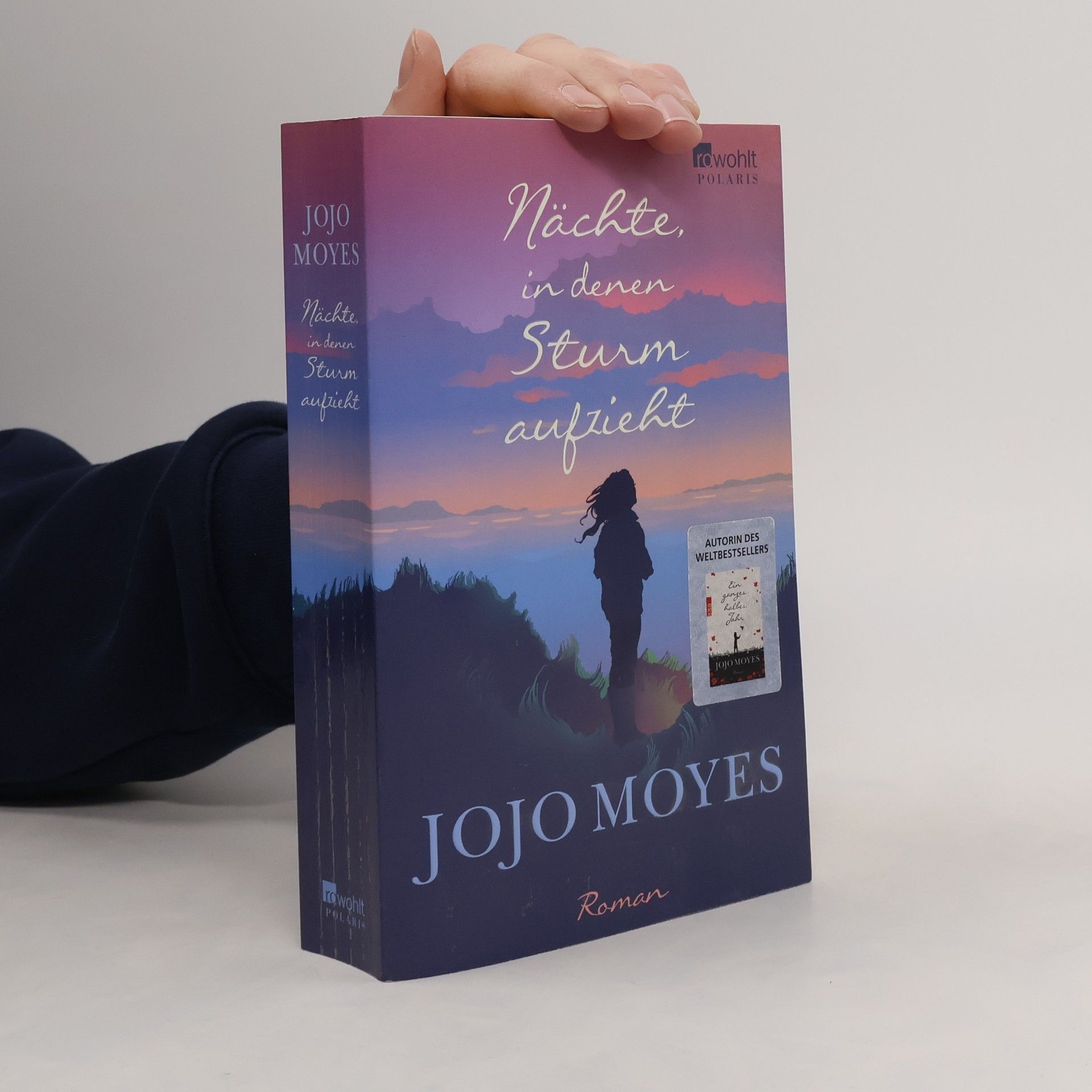 Jojo Moyes Nächte in denen Sturm aufzieht