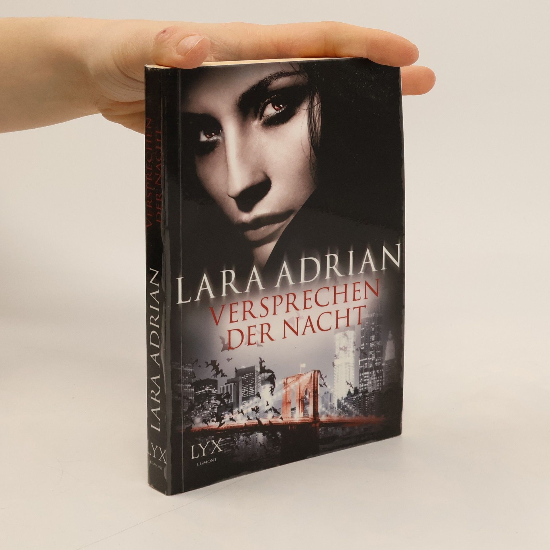 Lara Adrian Versprechen der Nacht