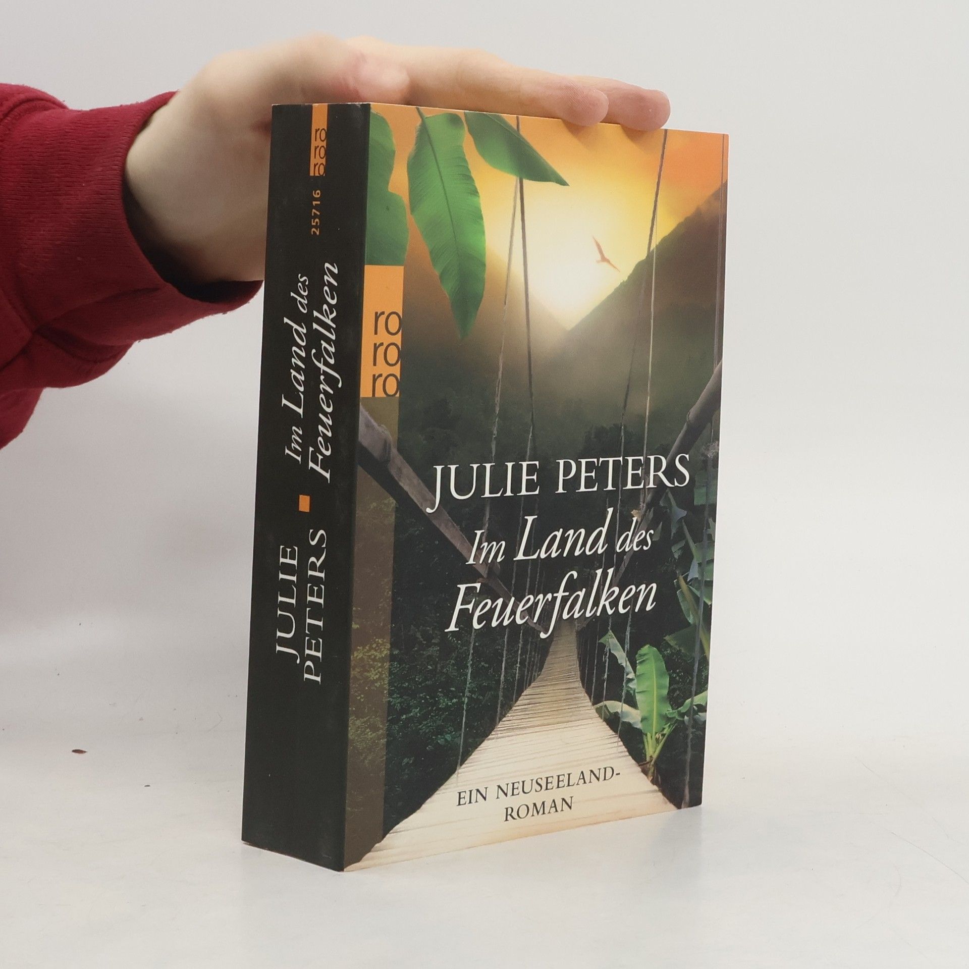 Julie Peters Im Land des Feuerfalken