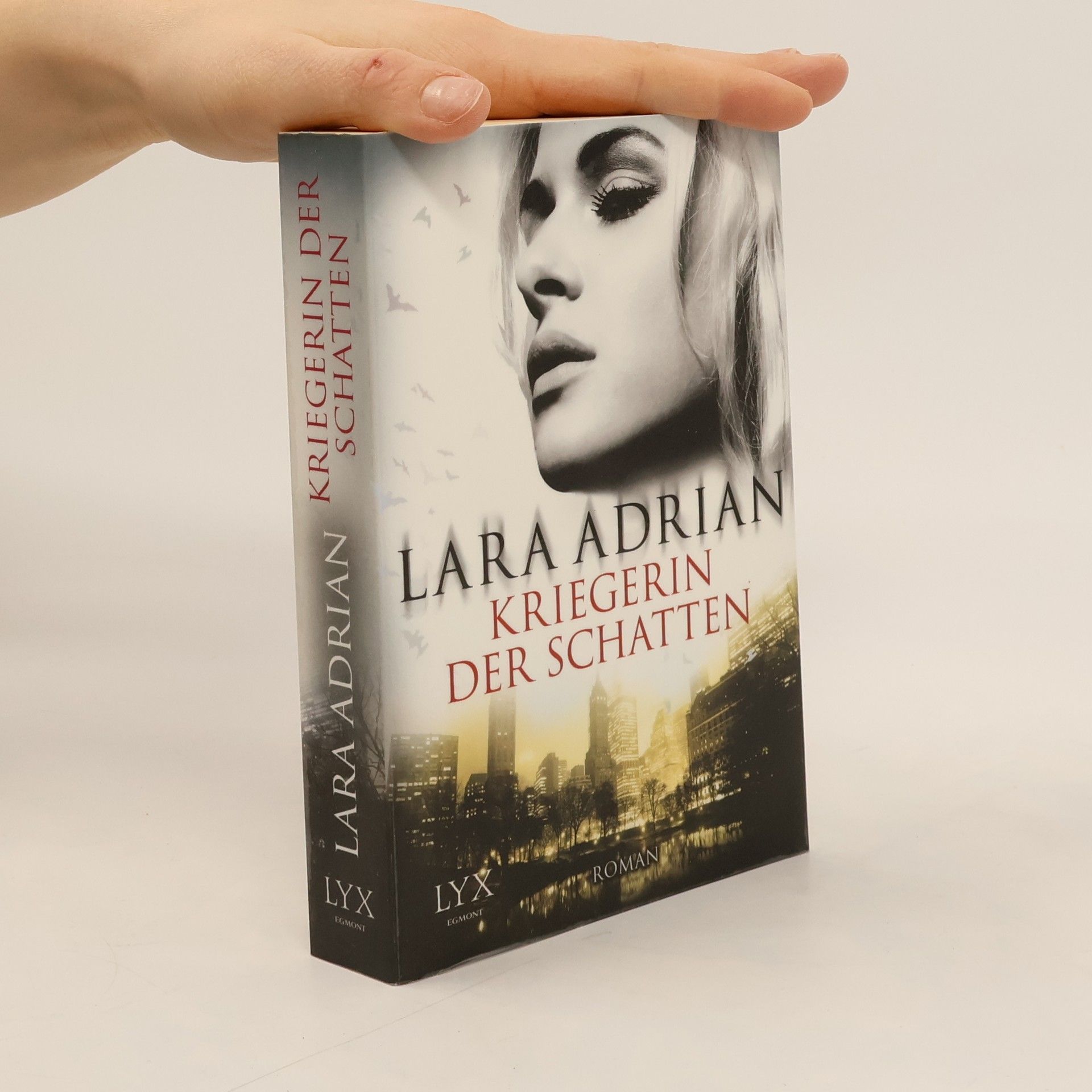 Lara Adrian Kriegerin der Schatten