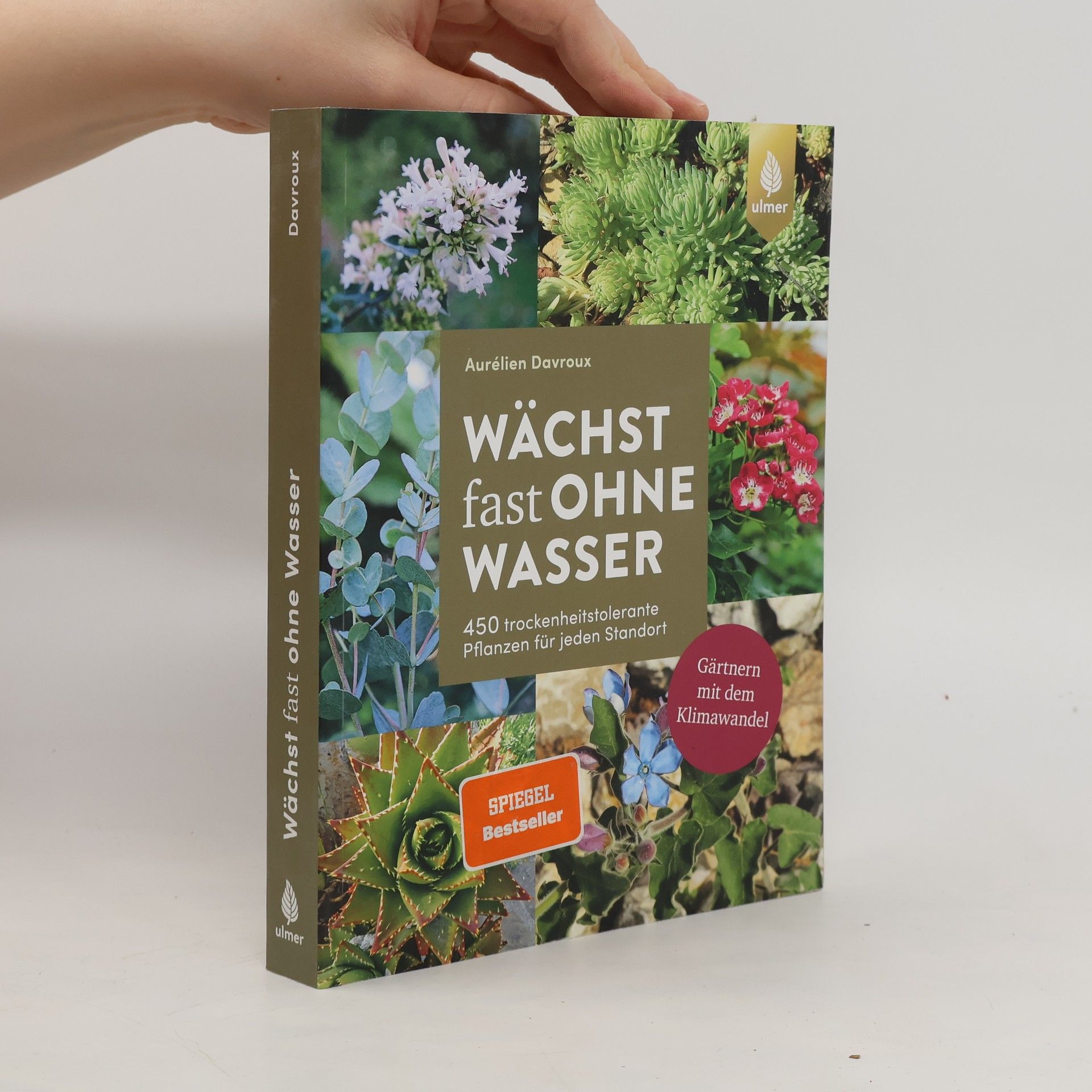 Aurélien Davroux Wächst fast ohne Wasser